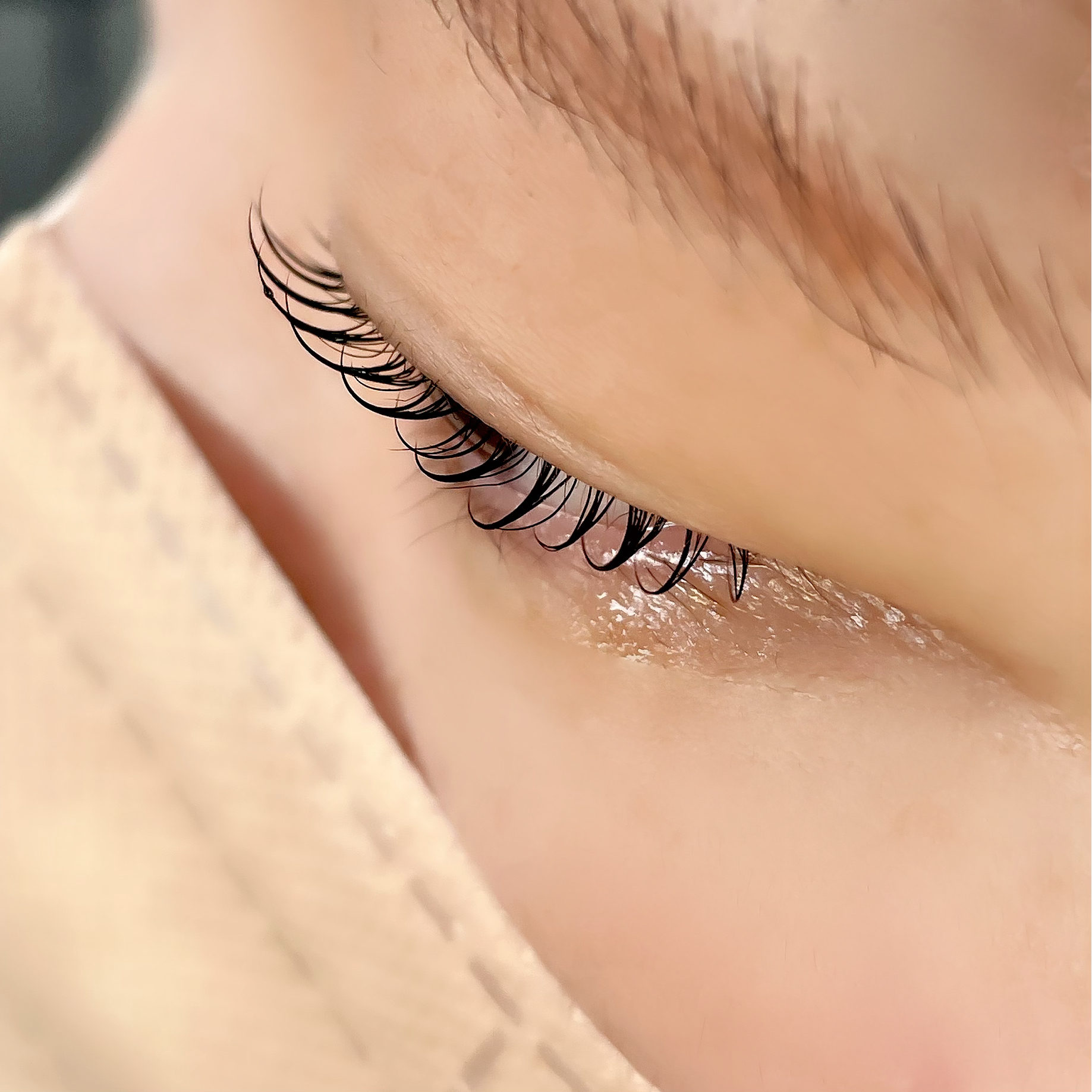 아이꽃피나
