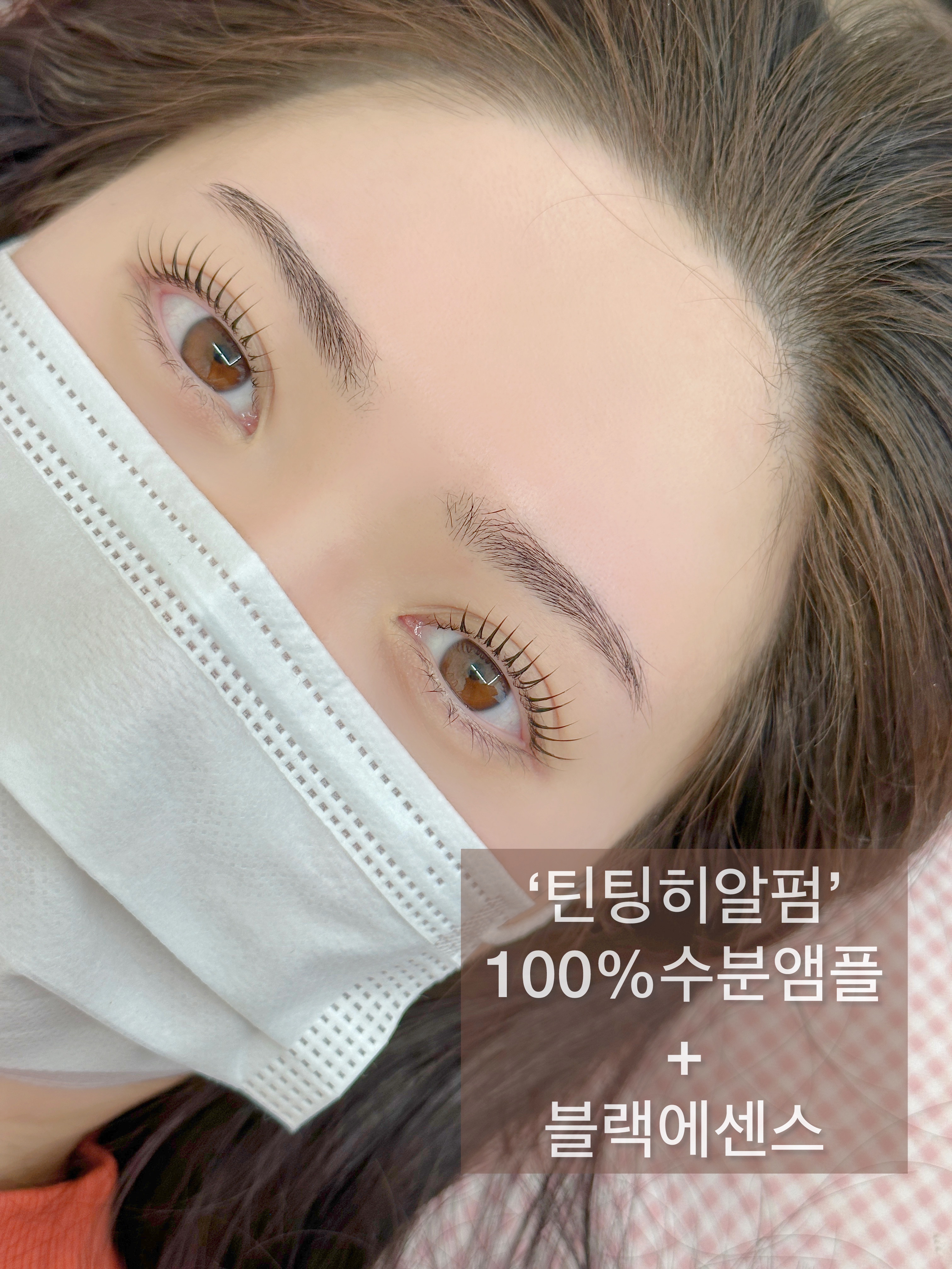 솔쉐프 강원 애견맛집