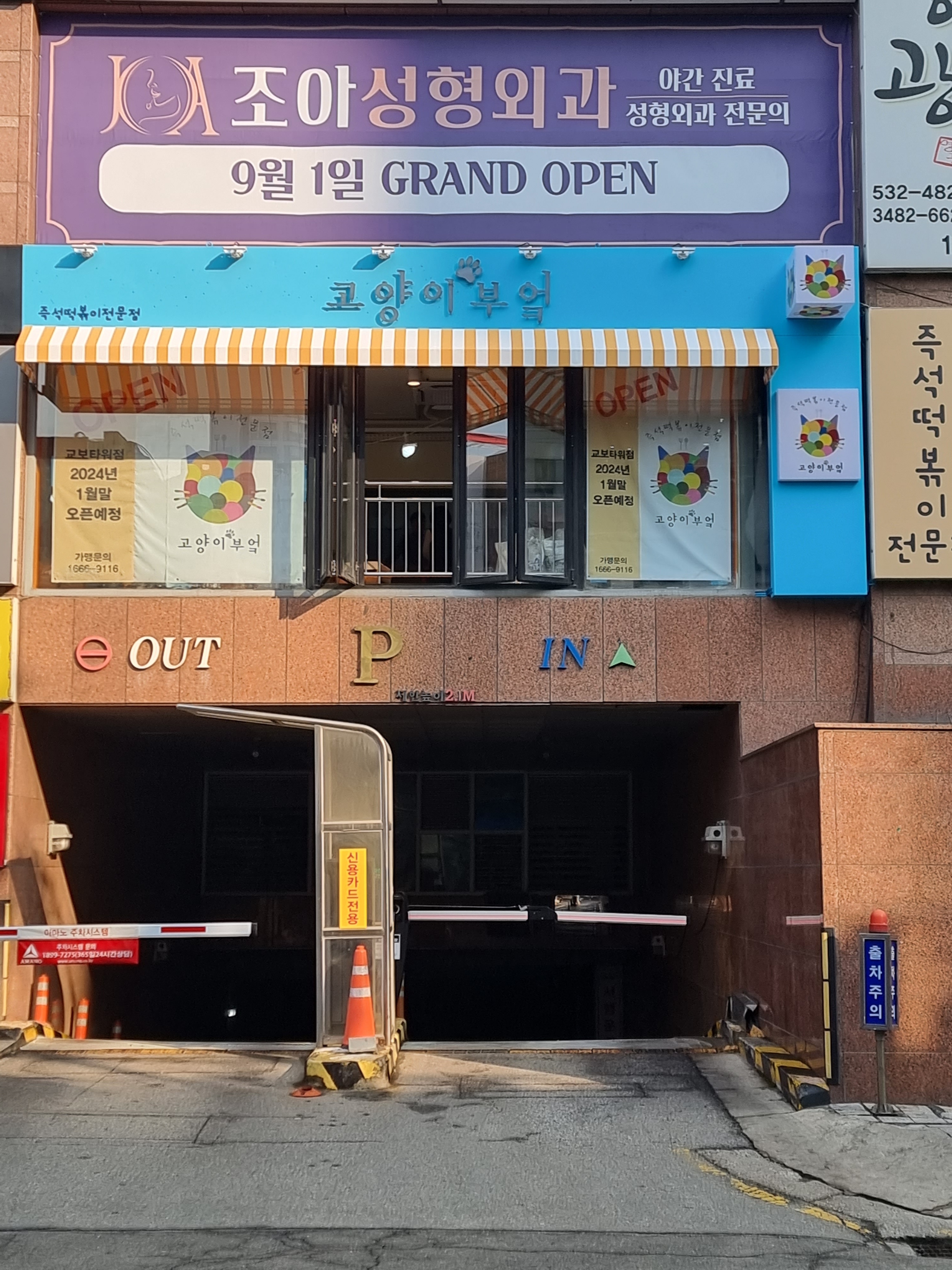 고양이부엌 강남교보타워점