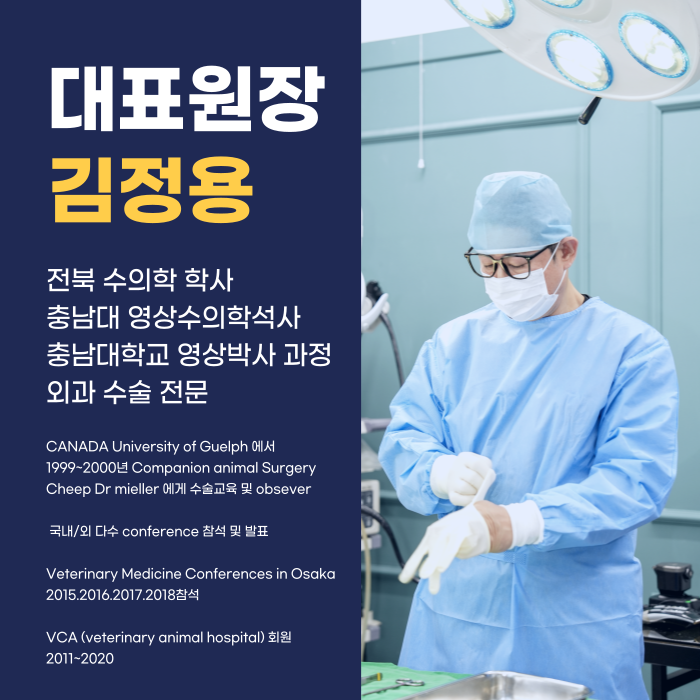 24시 아프리카동물병원 대표 이미지
