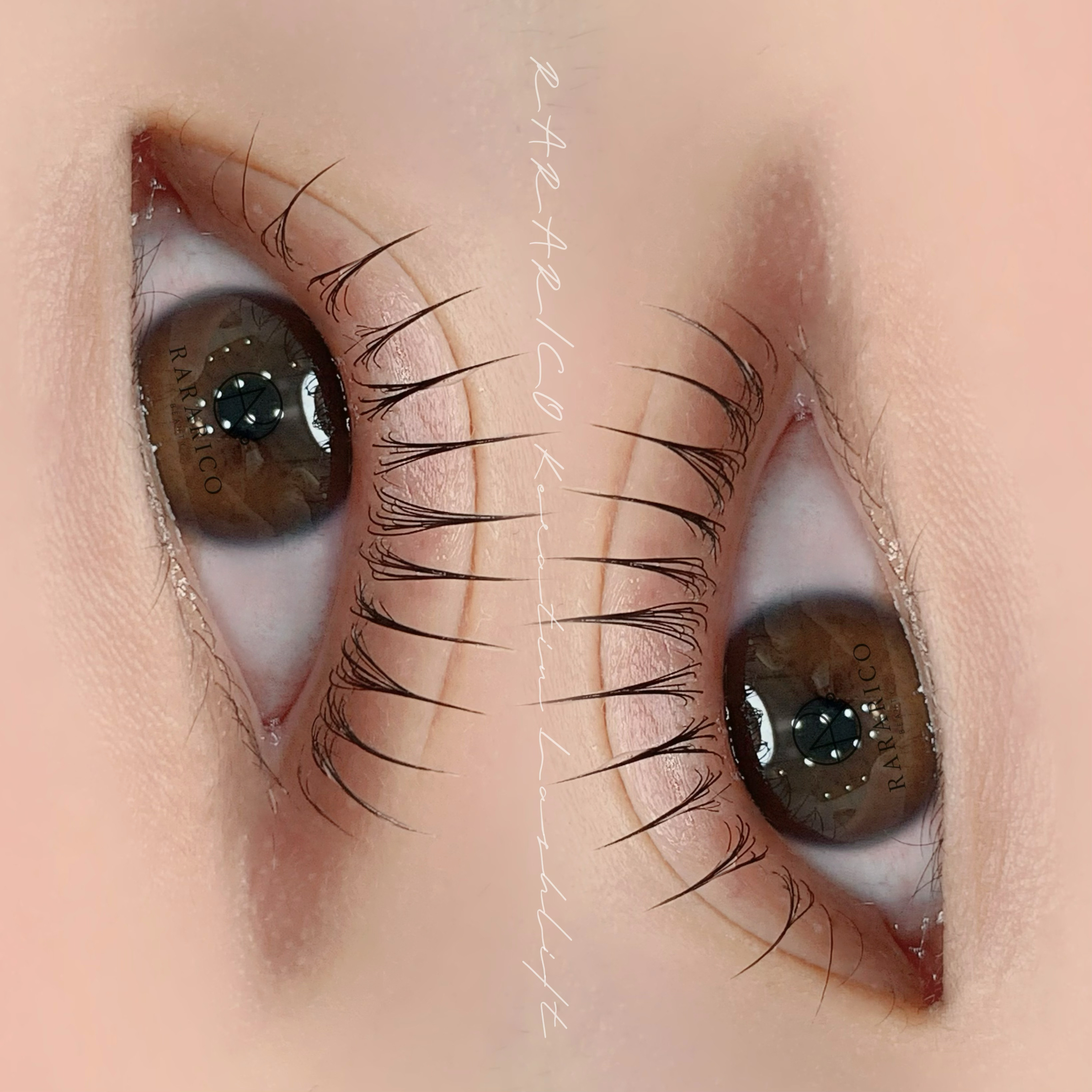 라라리코 뷰티, 브로우