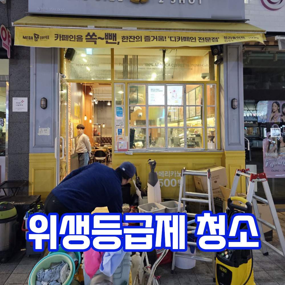 클린업플러스