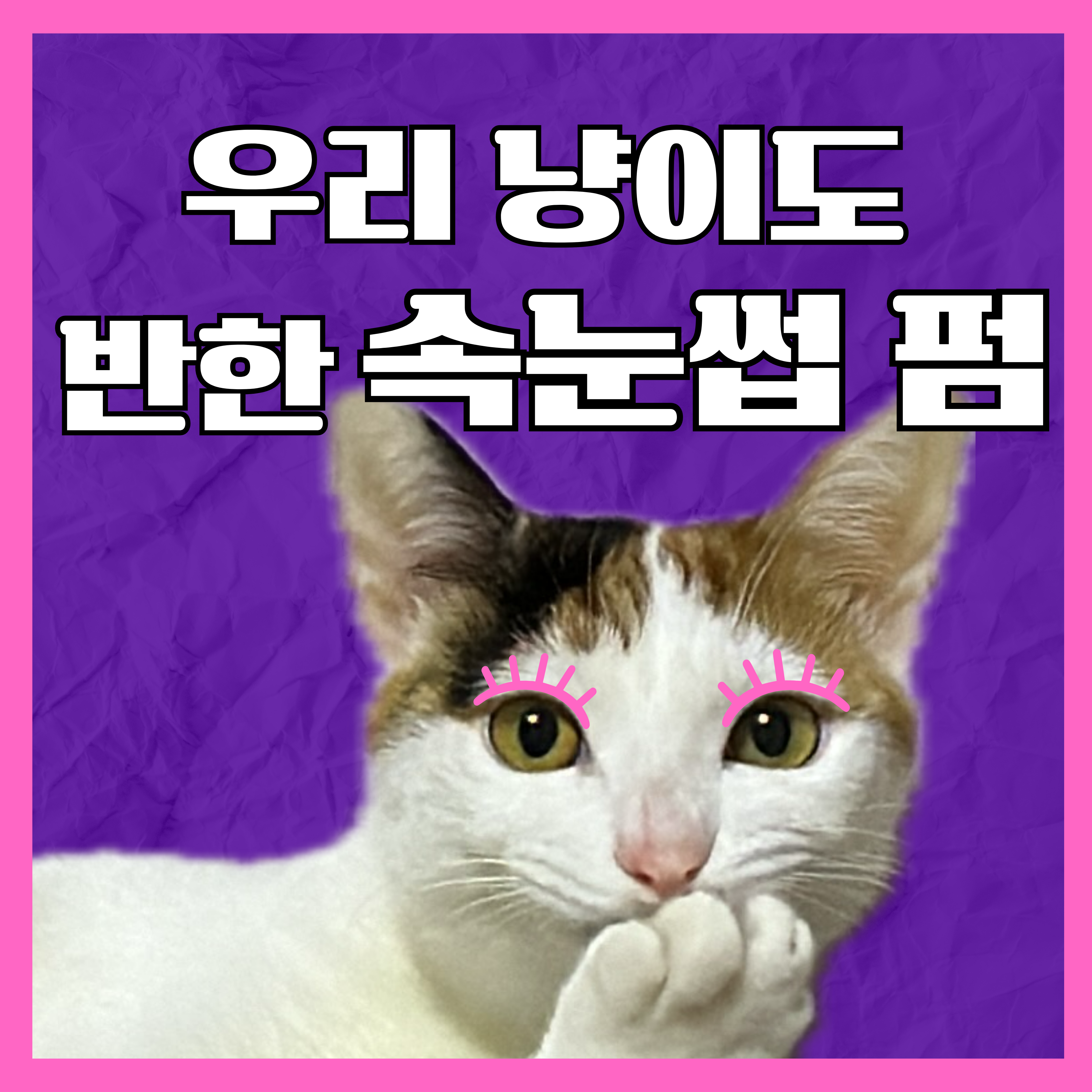 무드유뷰티