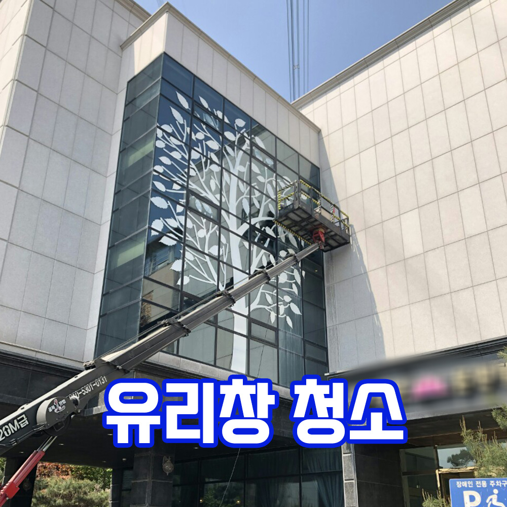 클린업플러스