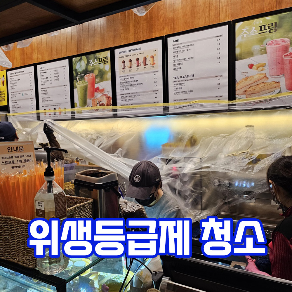 클린업플러스