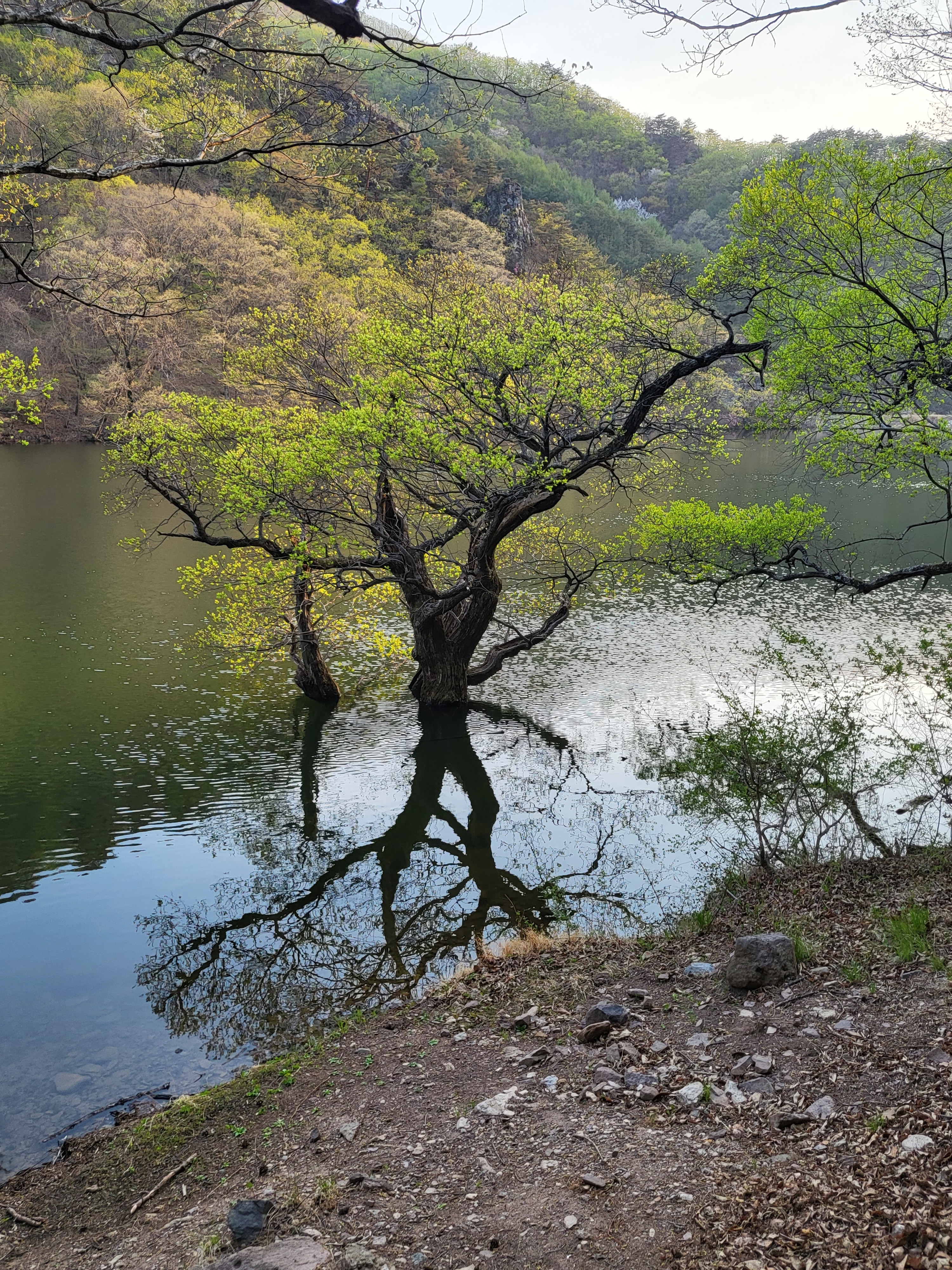 운세.사주.풍수 수경철학관