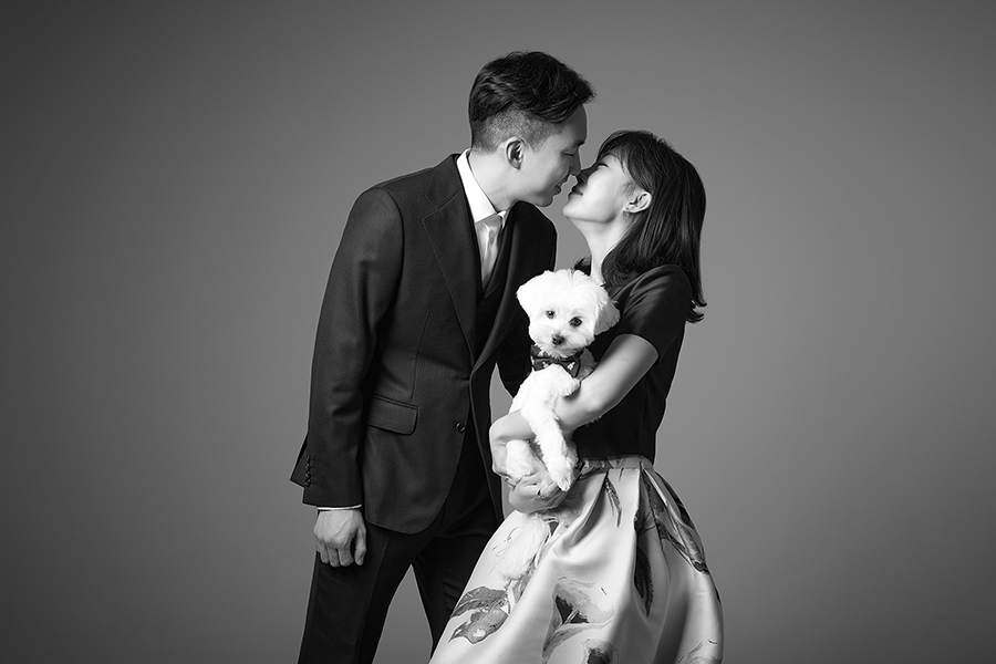 어나더심펫 스튜디오 대표 이미지