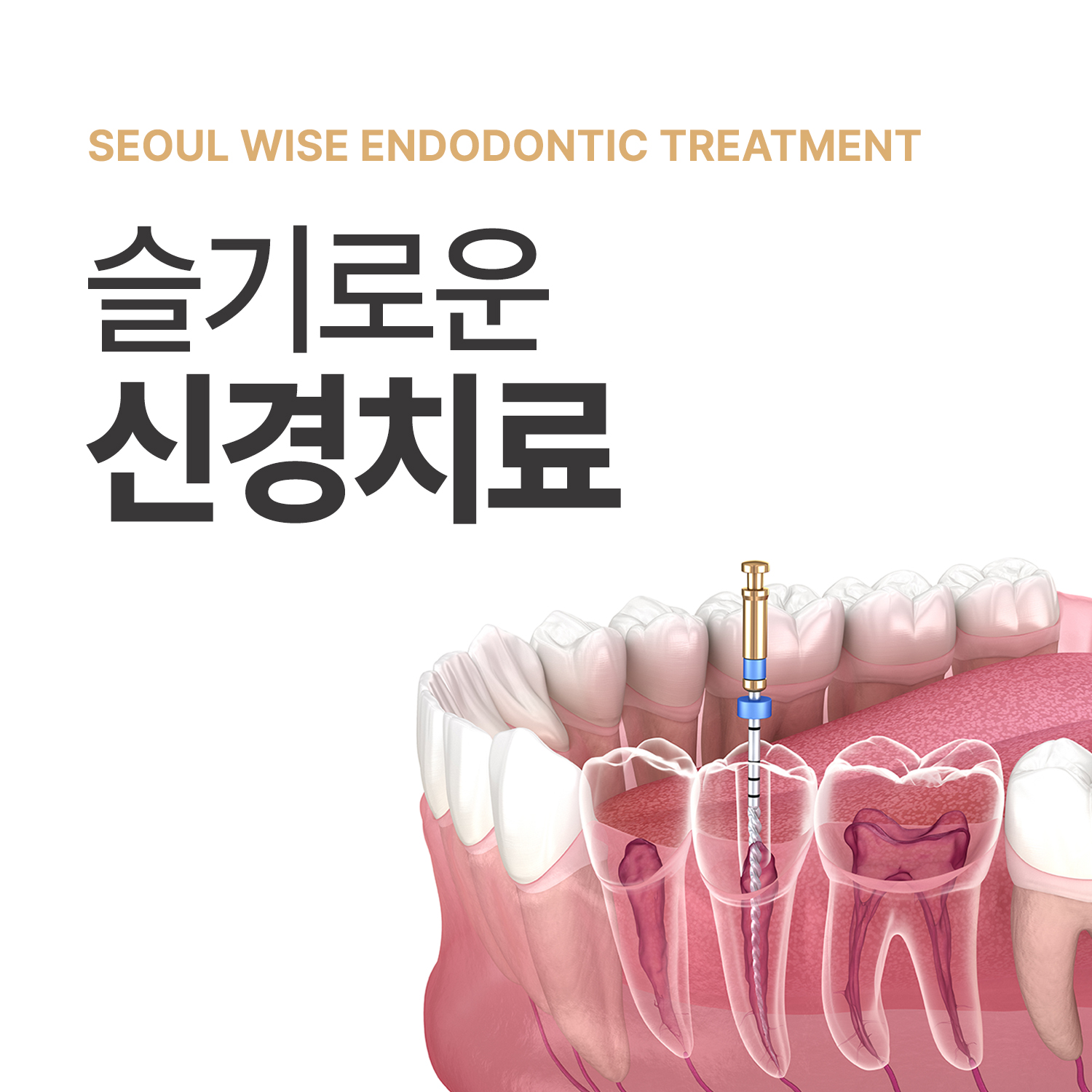 서울슬기로운치과의원 내부