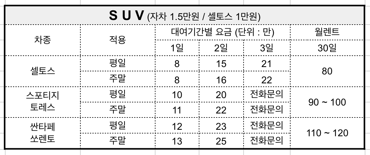 뉴삼우렌트카 화정지점