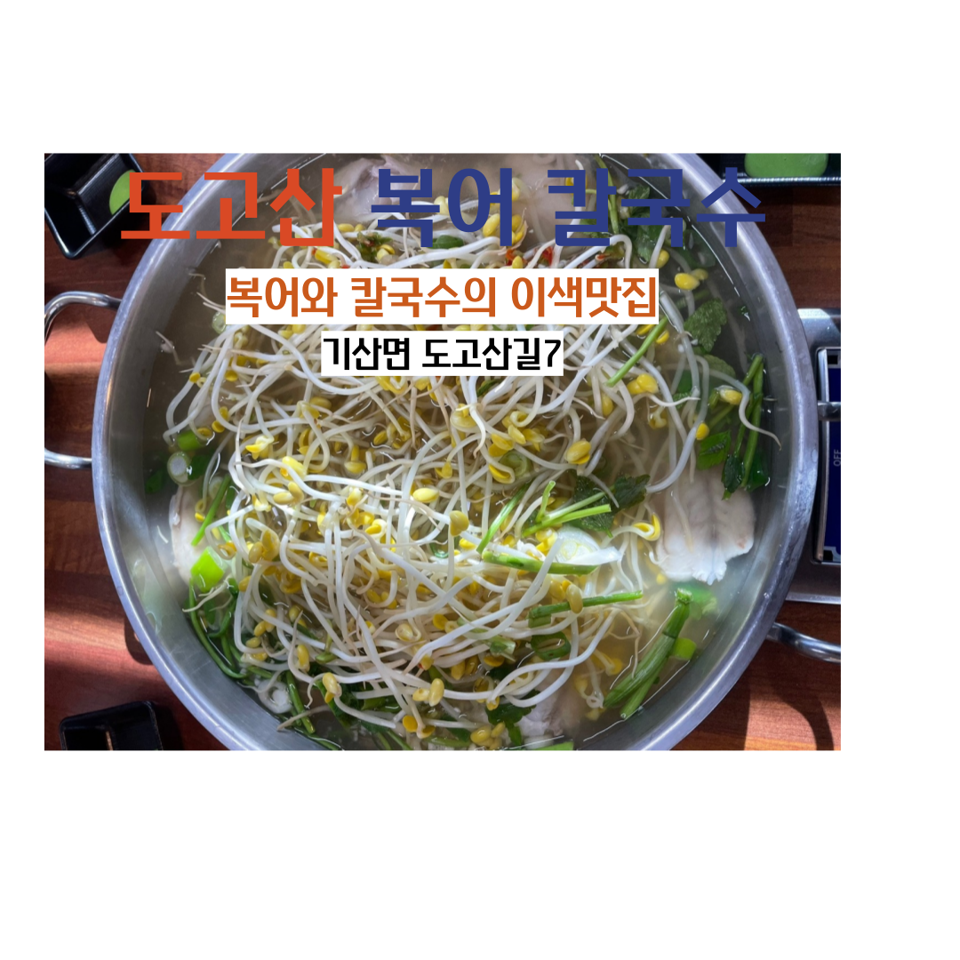 도고산 복어 칼국수