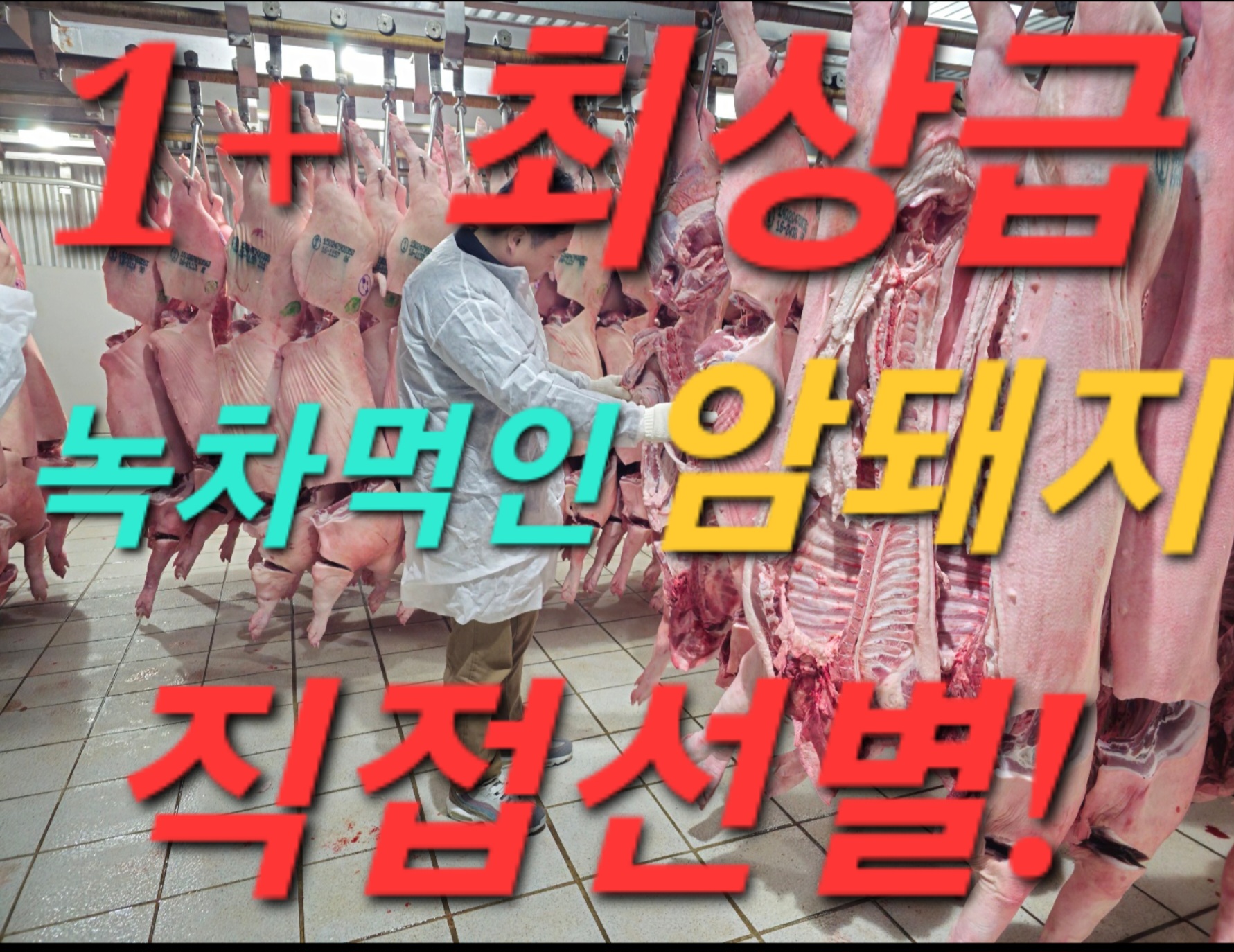 숙성사돈 파주법원리 본점