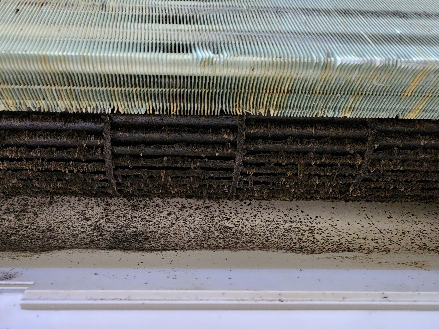 팡이제로홈케어 대표 이미지