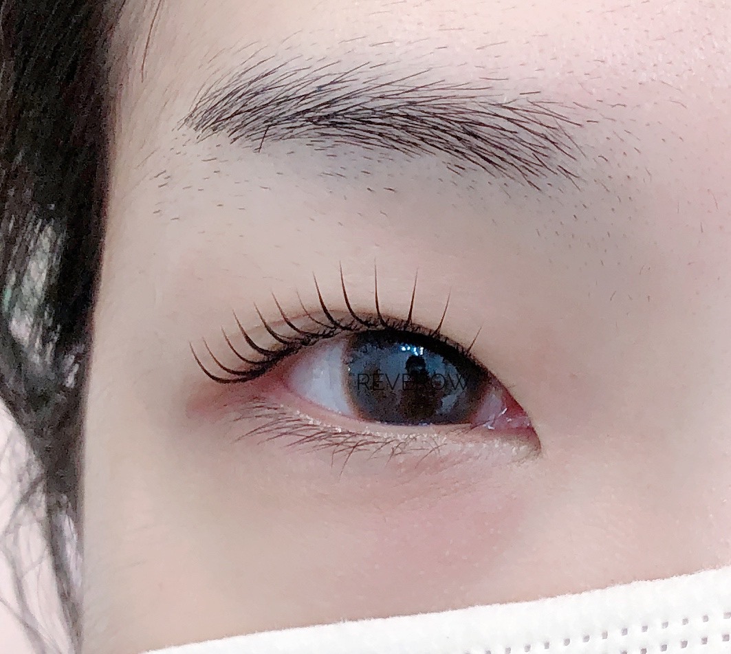 레브로우