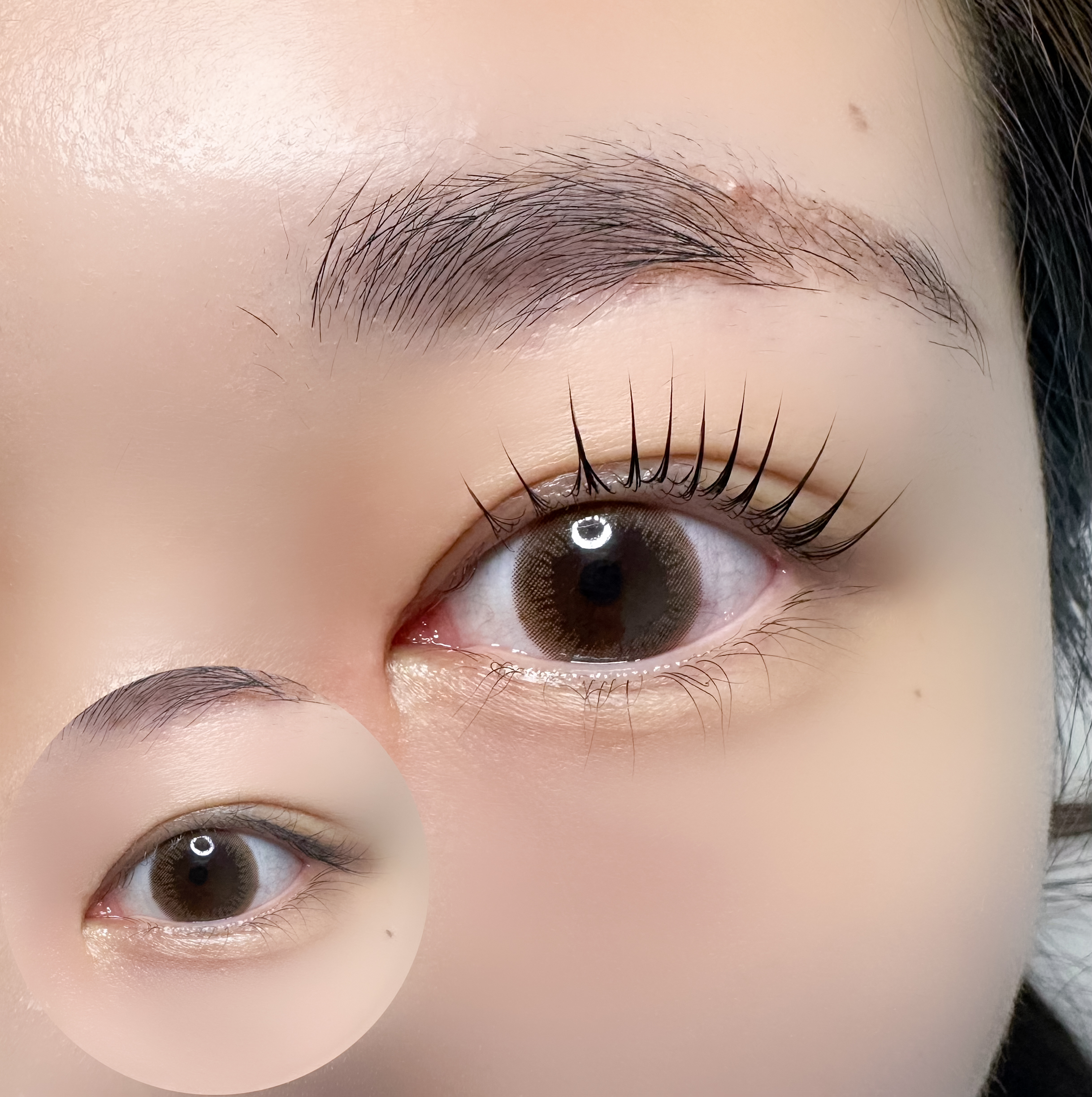 티오 브로우&래쉬 대표 이미지