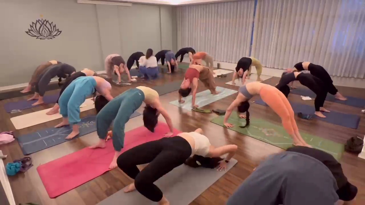 엔젤요가 대표 이미지