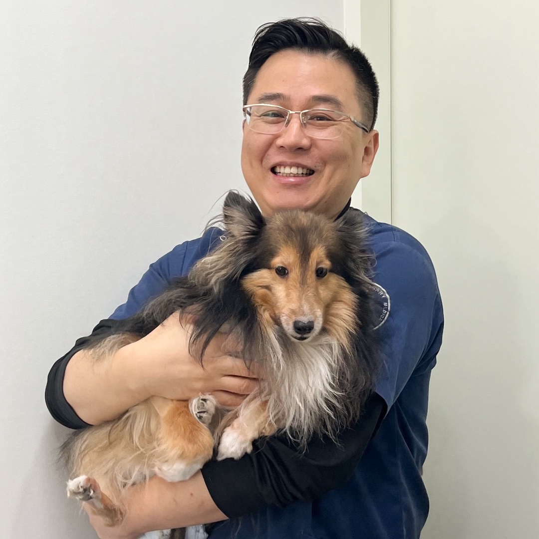 도담동물병원 강동