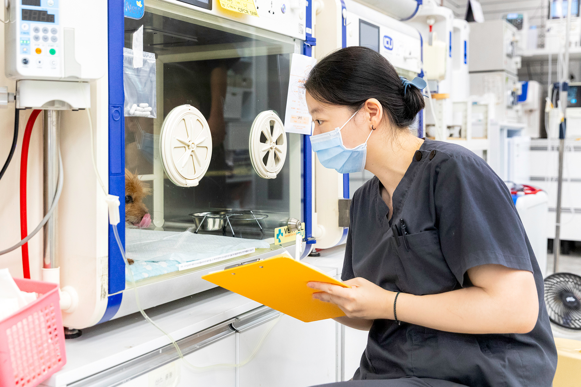 24시독스동물병원 대표 이미지