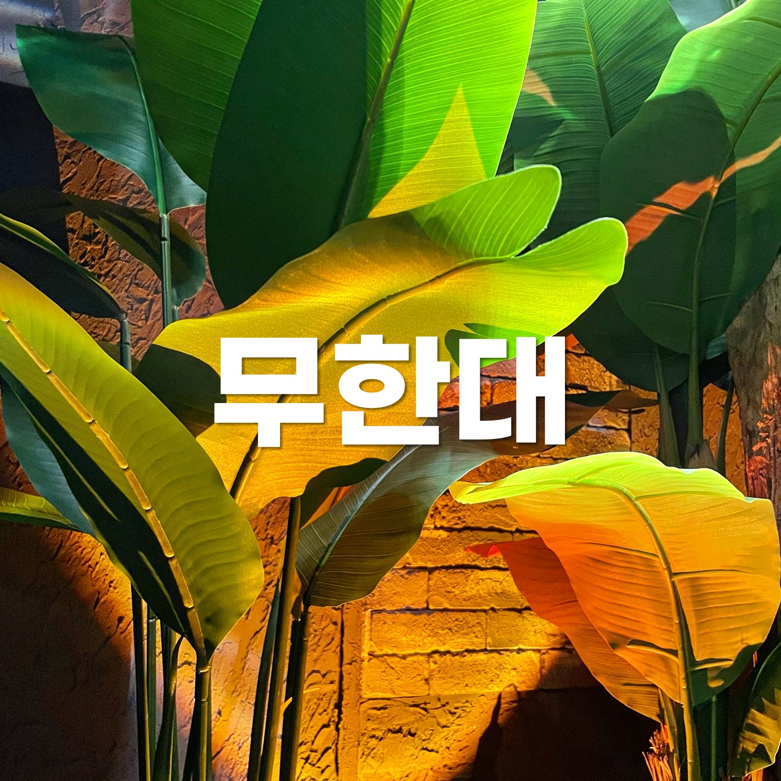 무한대 숙대본점