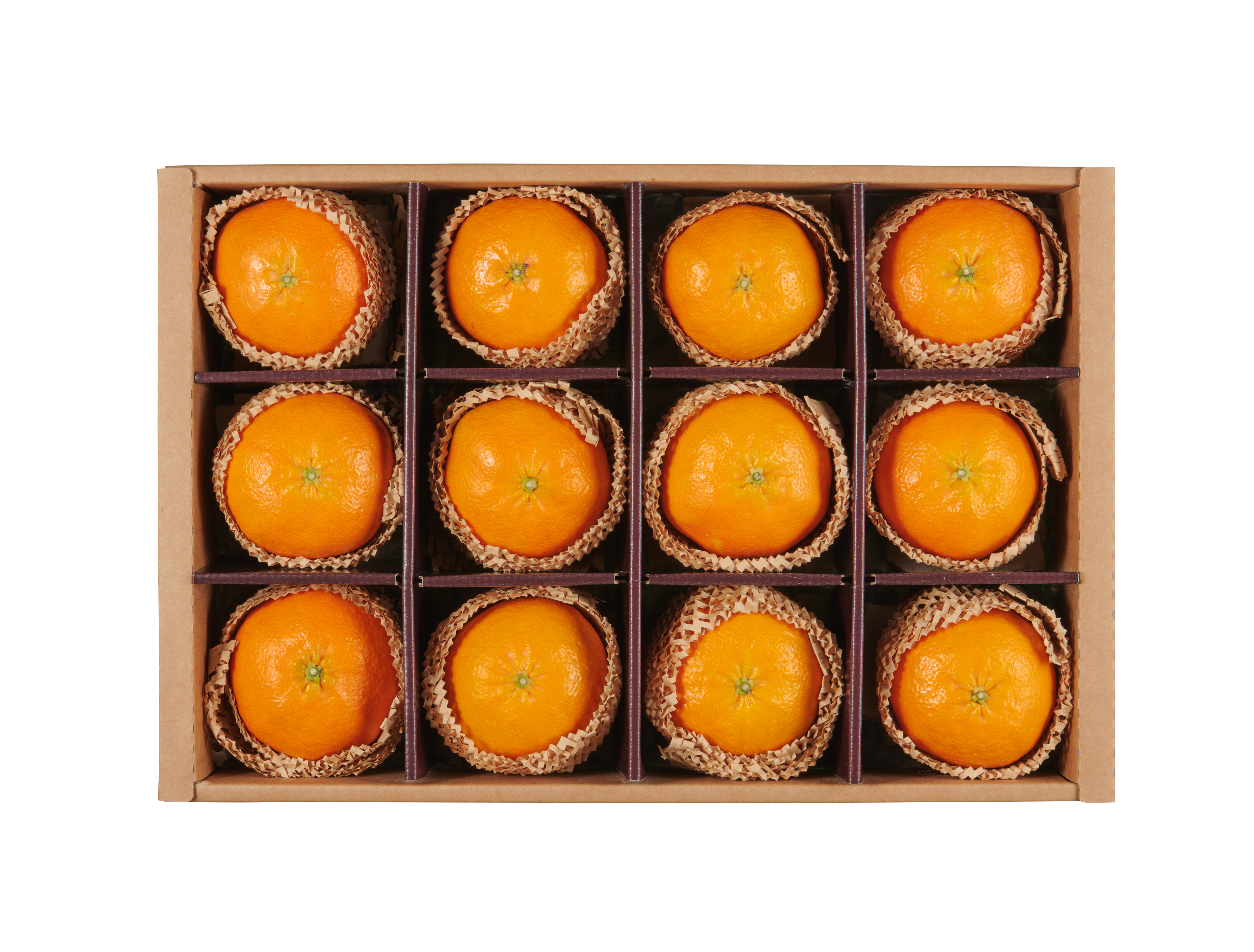 폴개농원