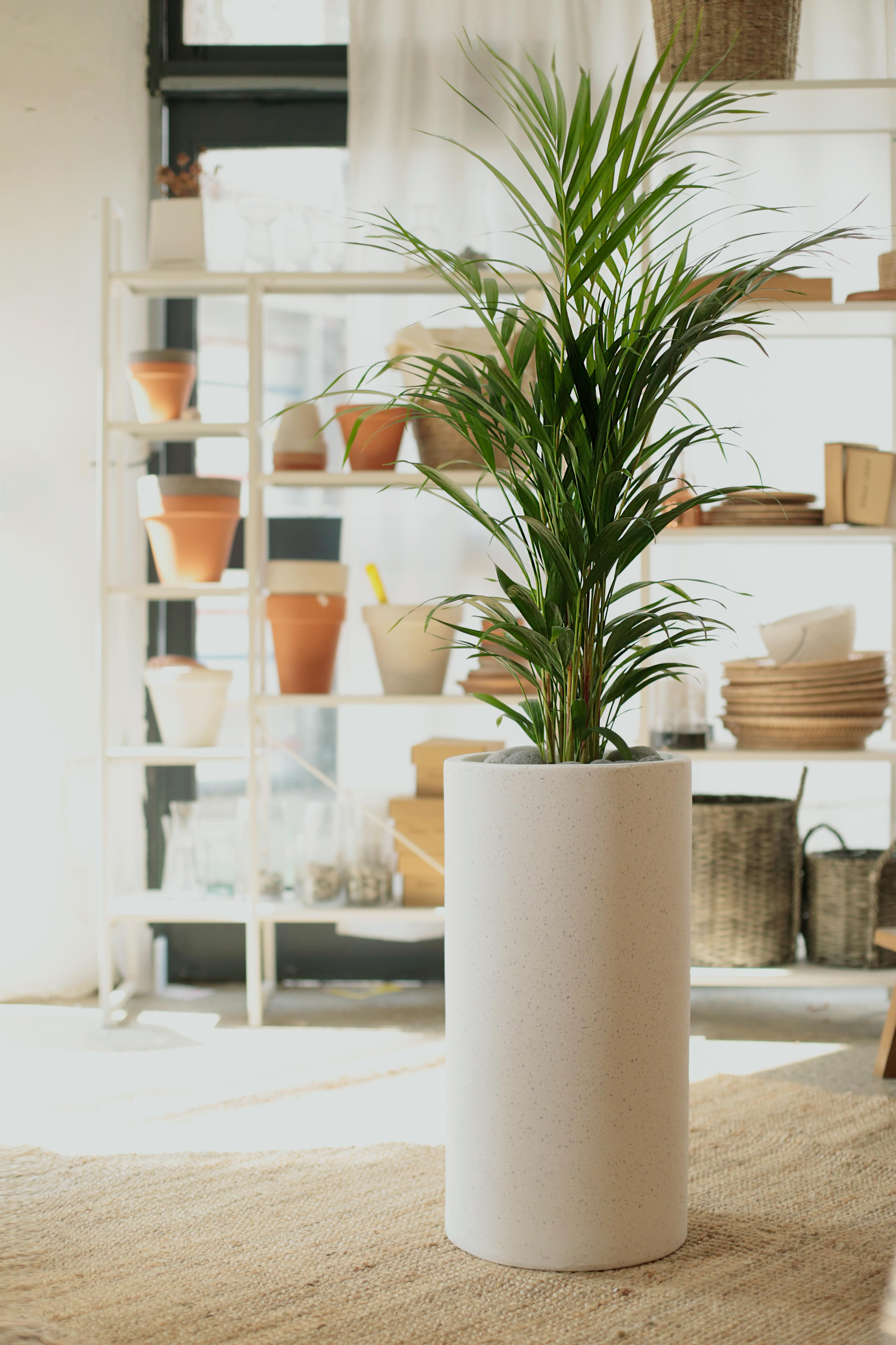 베지움 대표 이미지