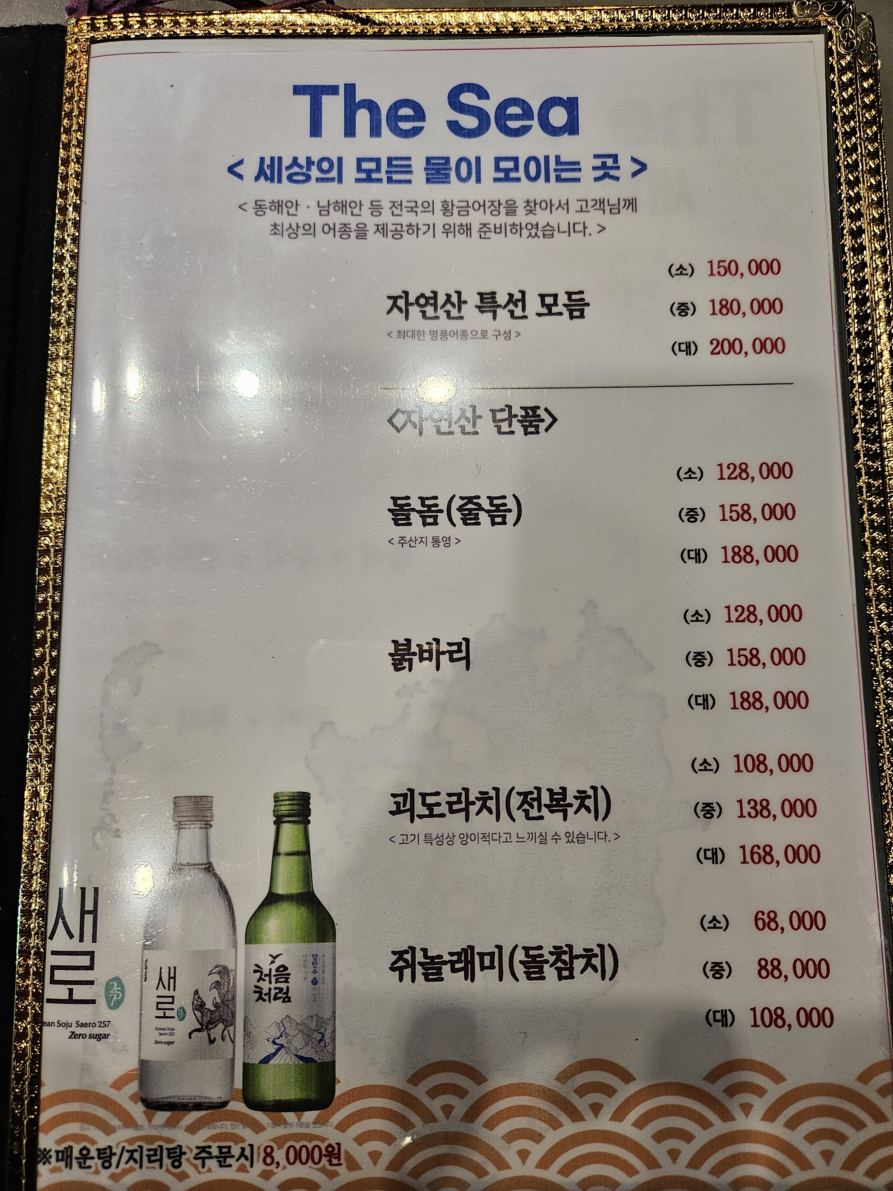 더 씨