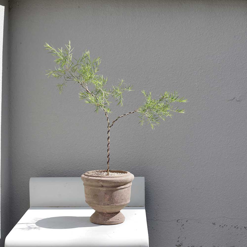 베지움 대표 이미지