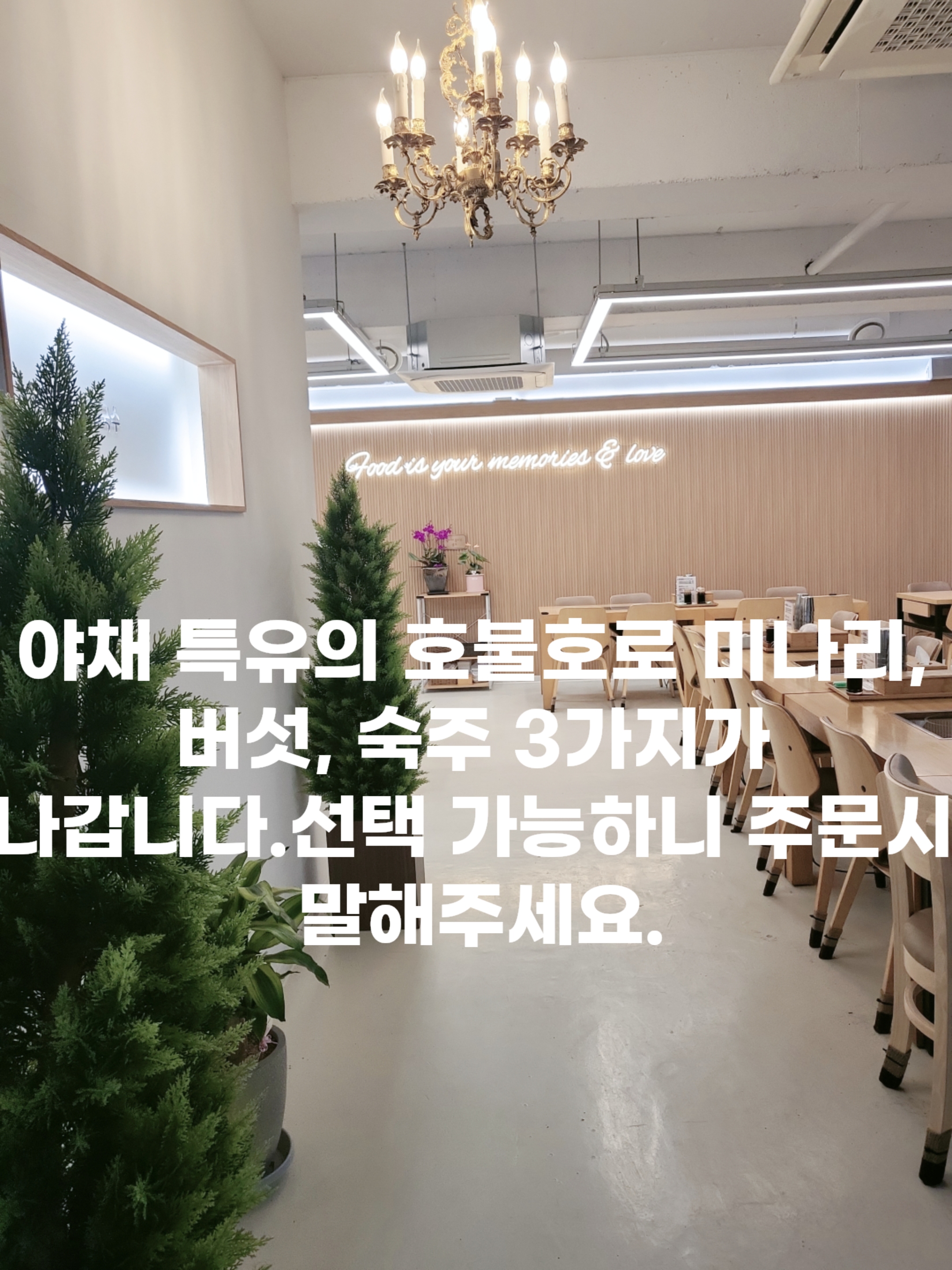 등촌샤브칼국수 명륜동점