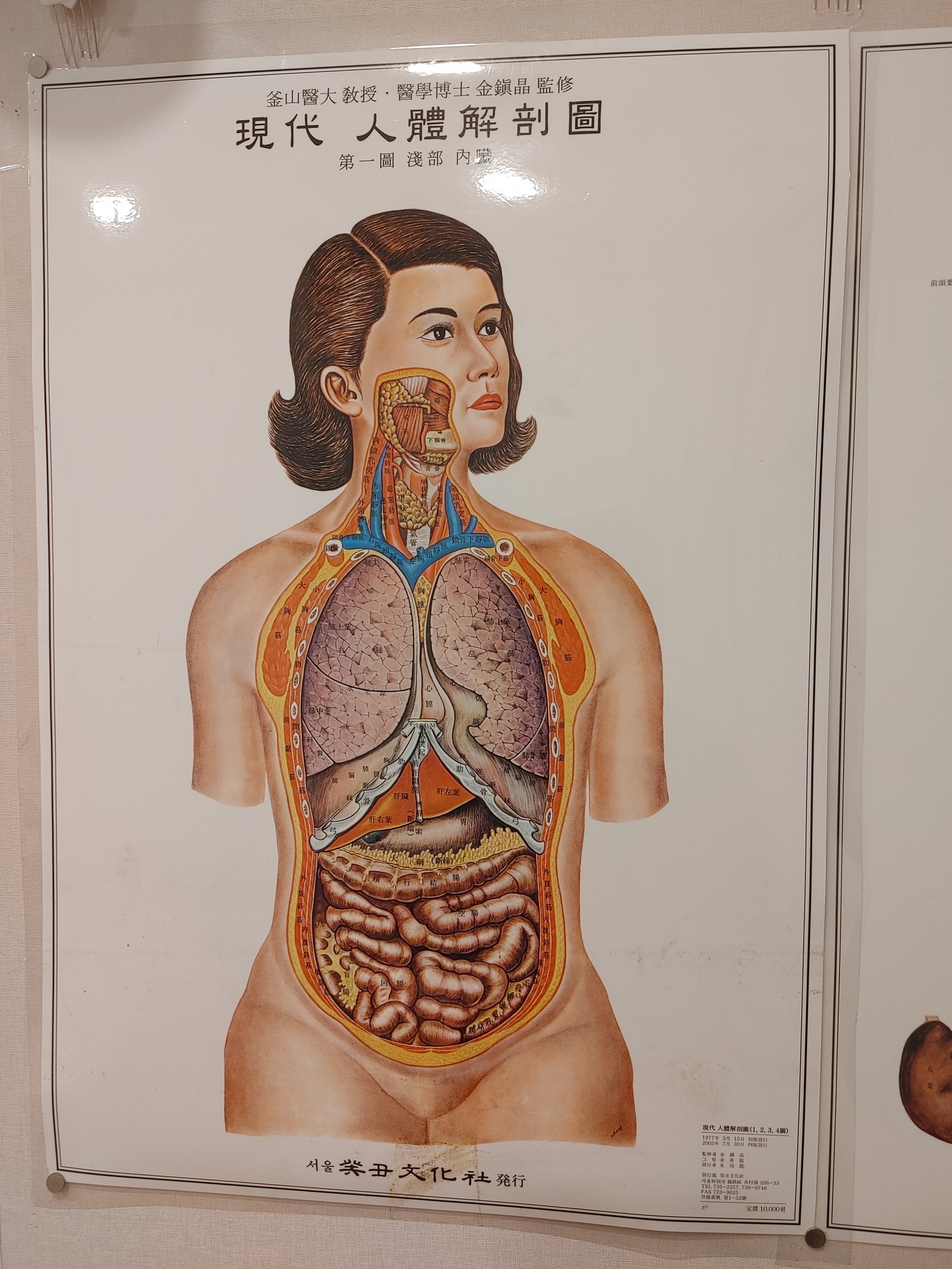힐링테라피