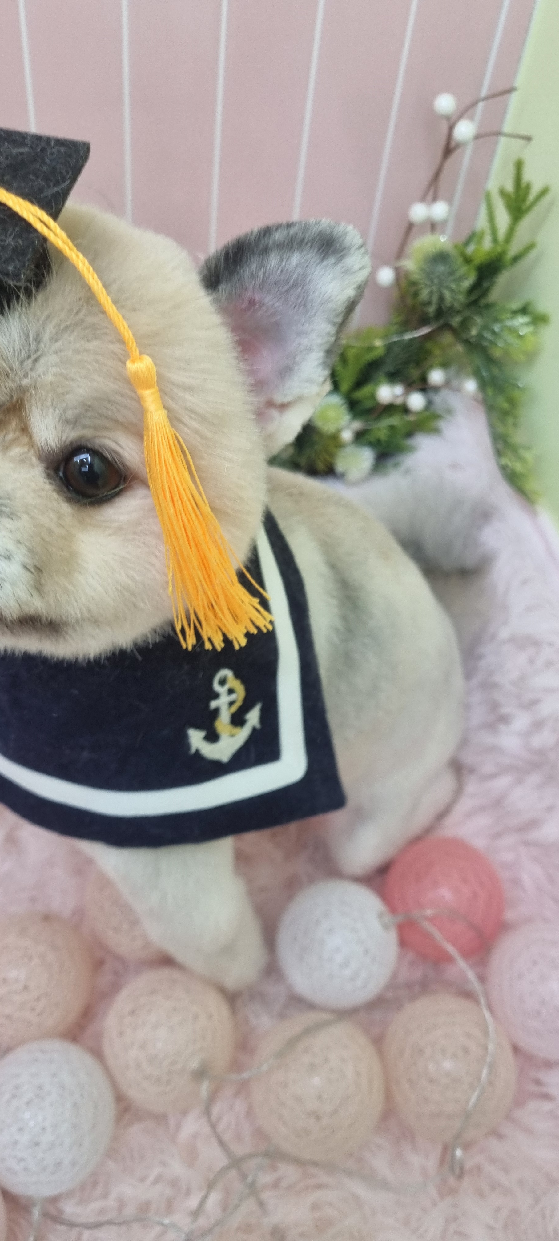 더 이쁘개 대표 이미지