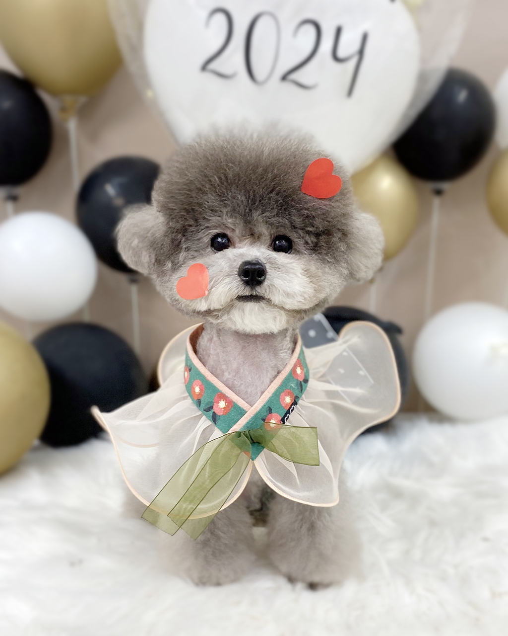 슈에뜨 대표 이미지