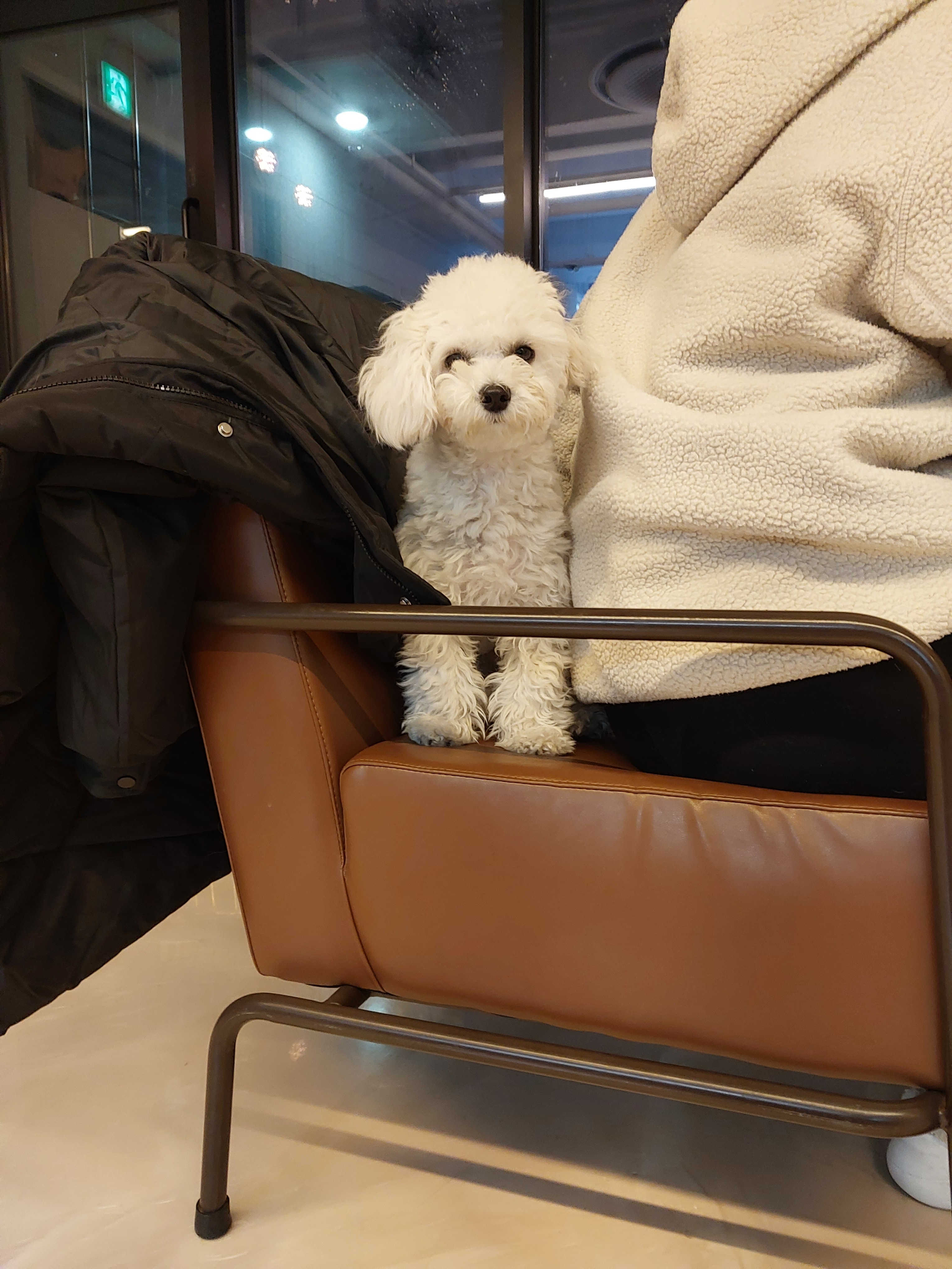 더블스테이또또멍애견펜션 8