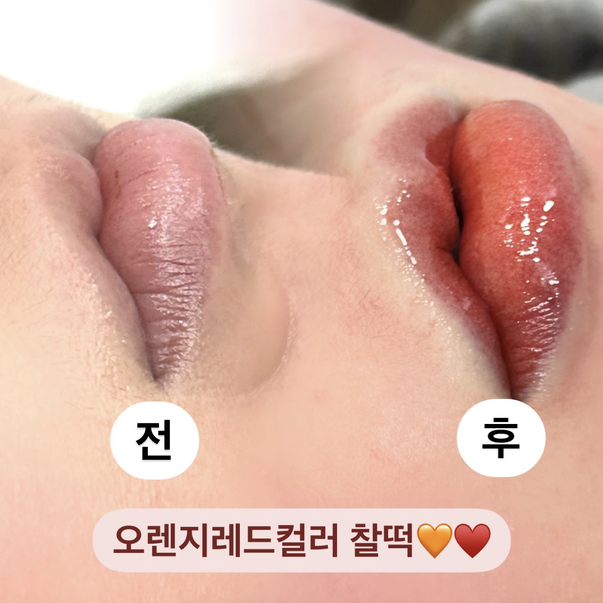 태리뷰티