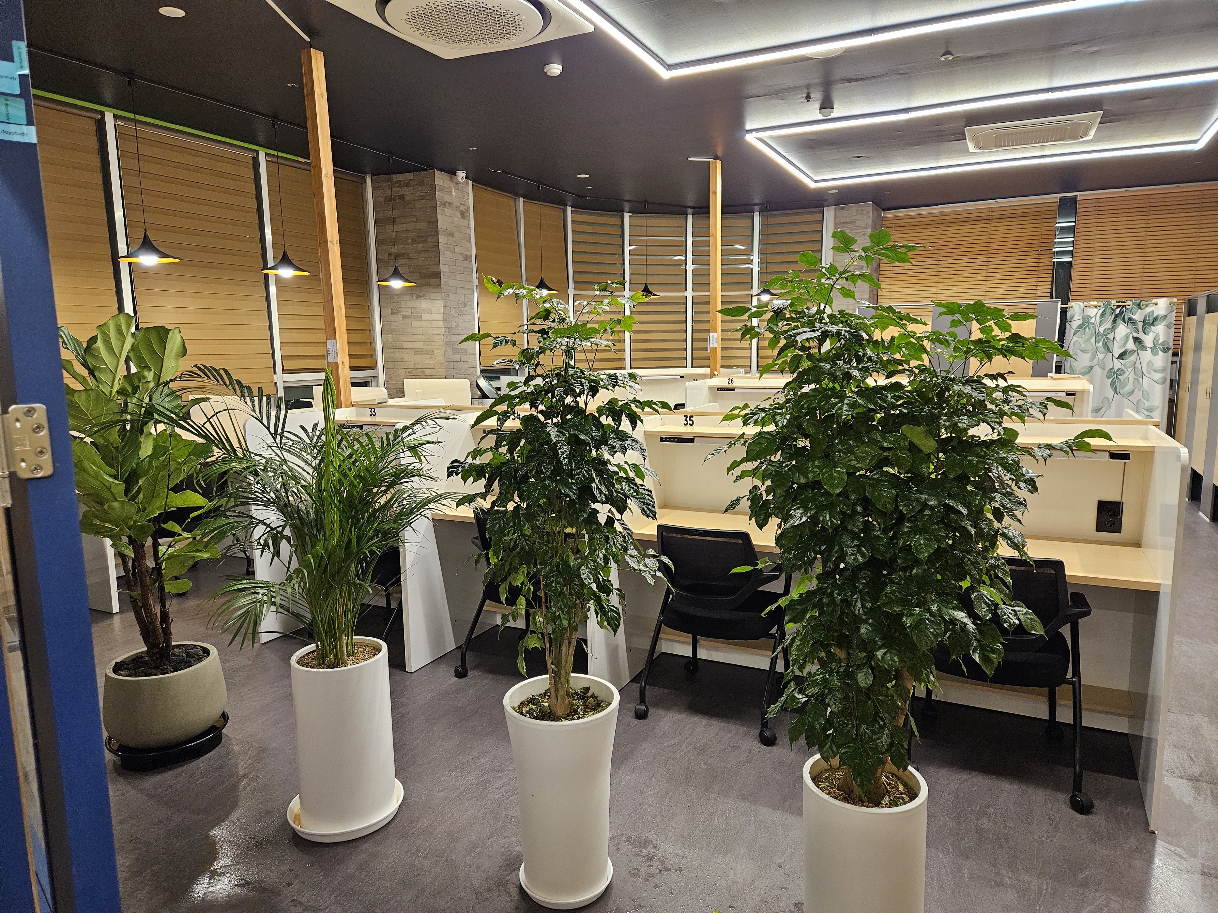 디데이스터디카페 무실점