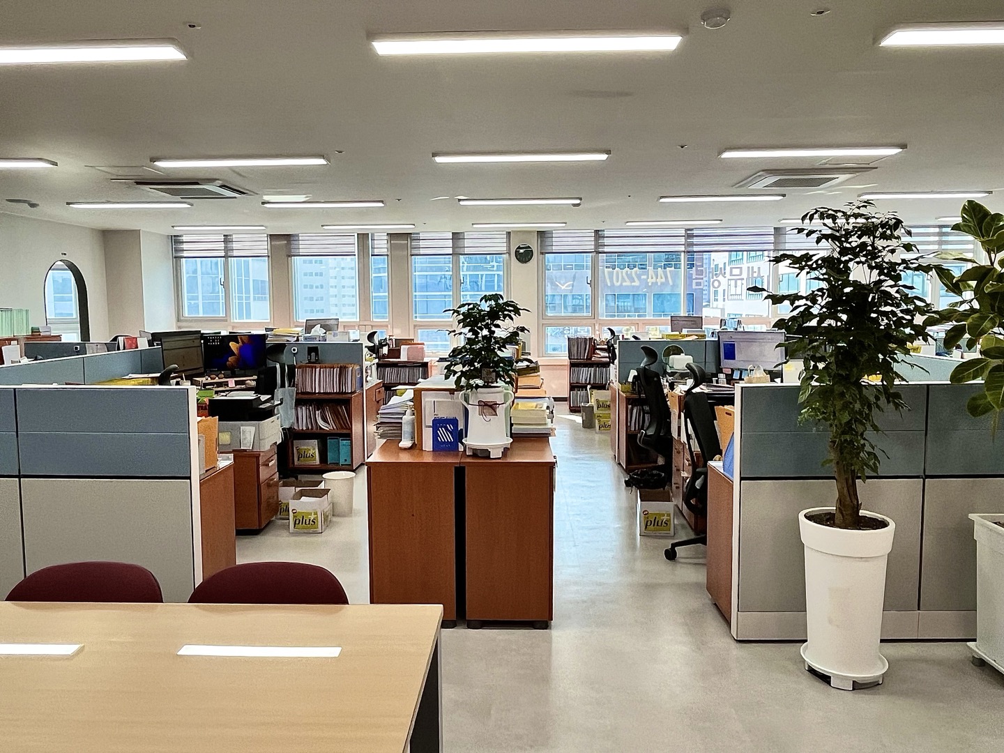 세무법인 다솔티앤씨 원주 대표 이미지