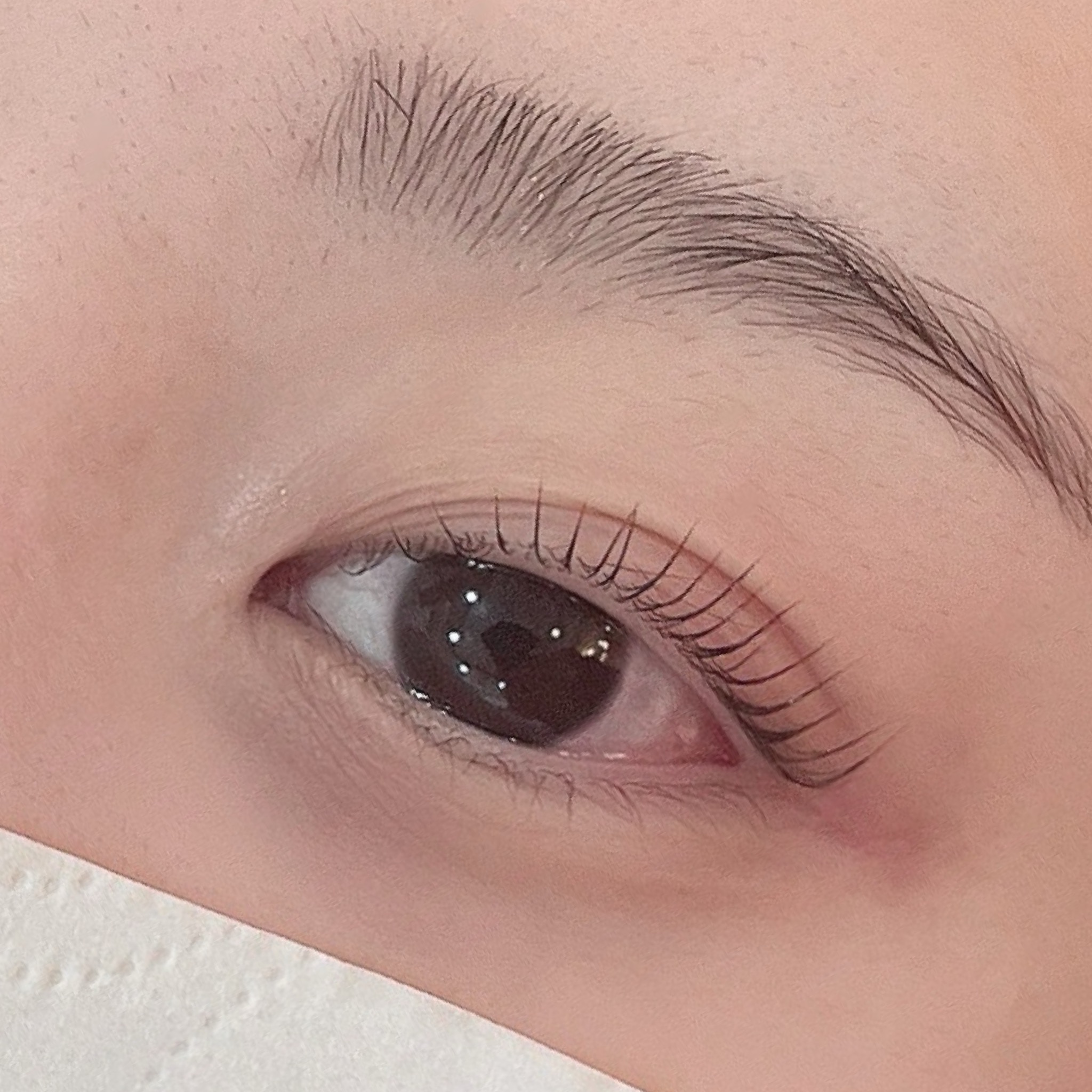 눈에꽃피다