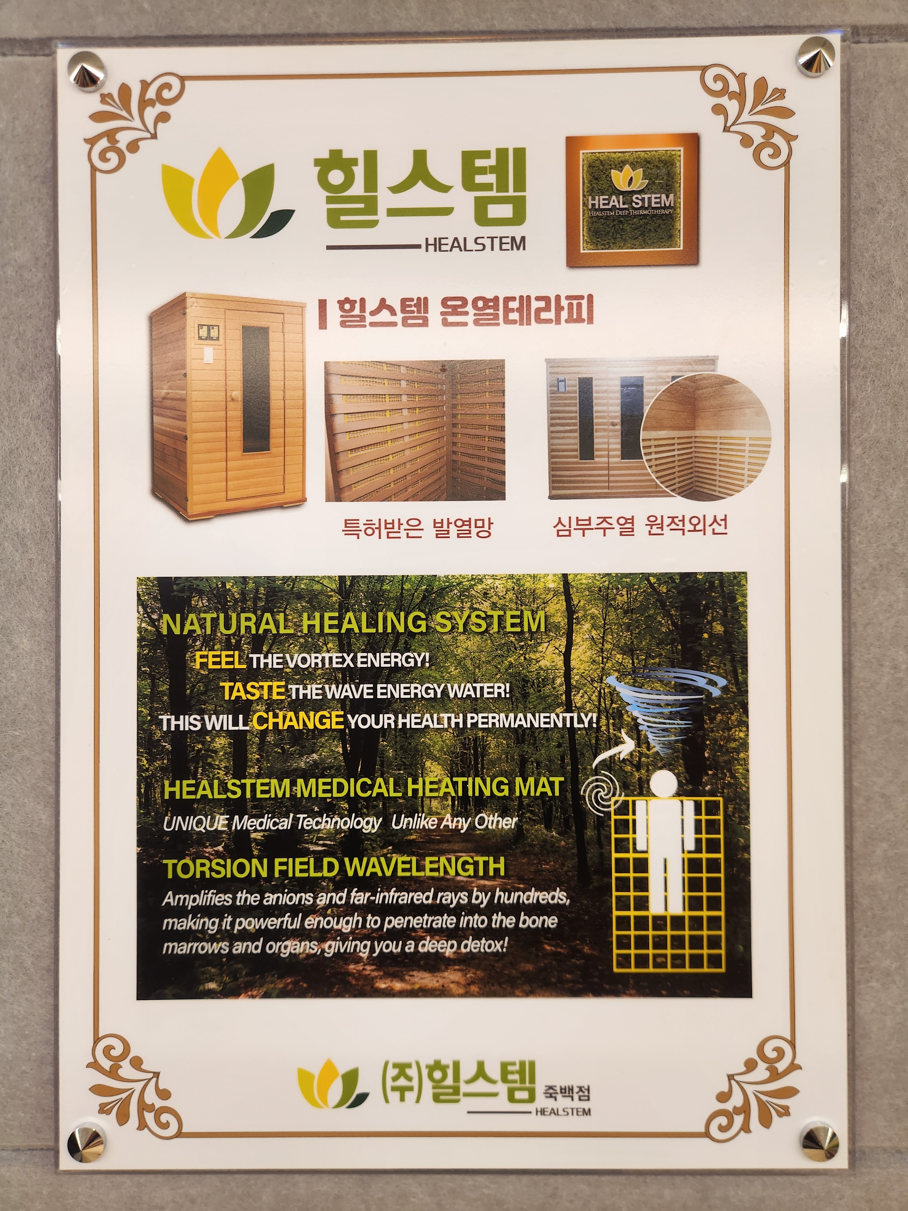 힐스템 죽백점