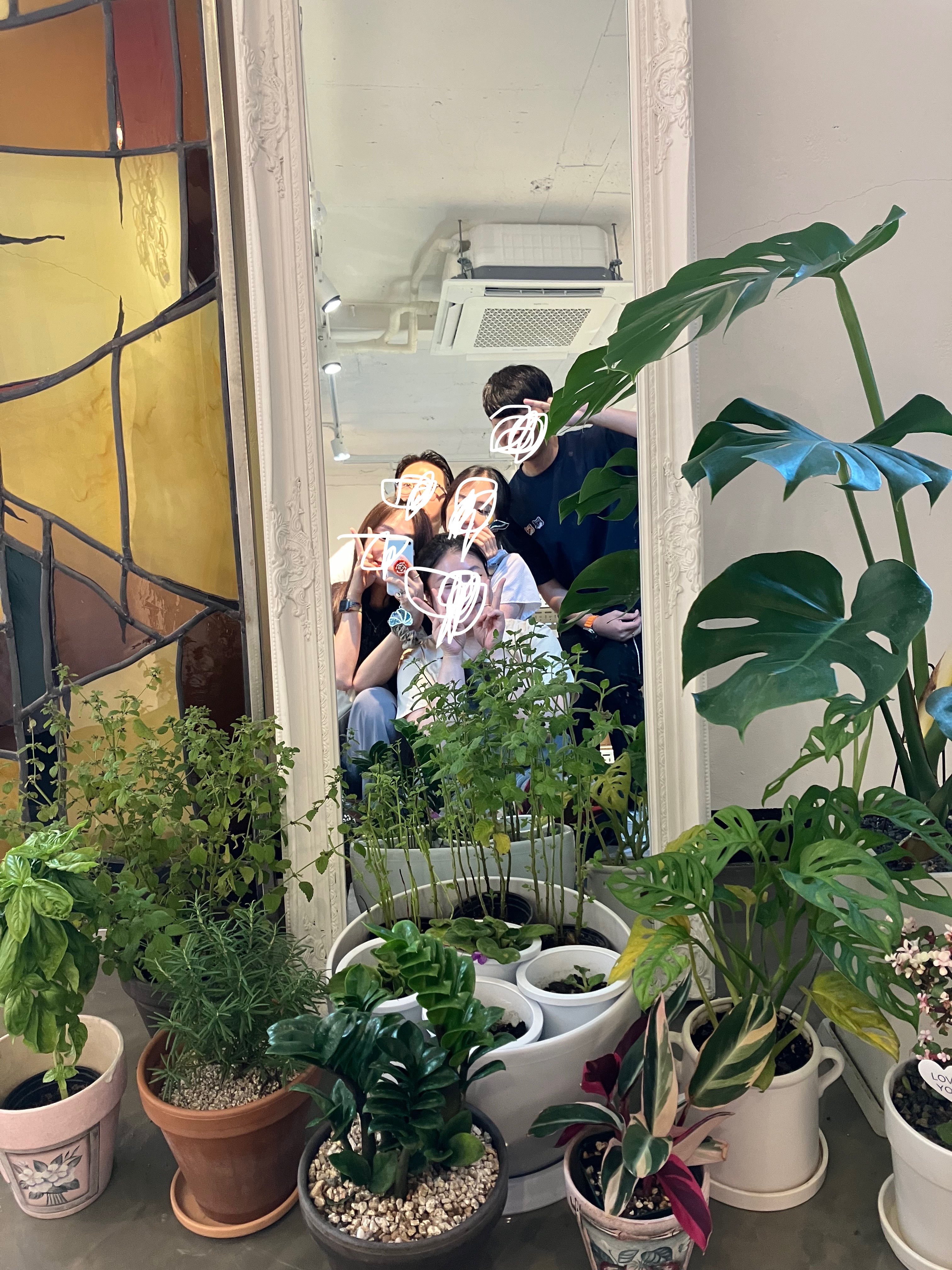 제이스텔라