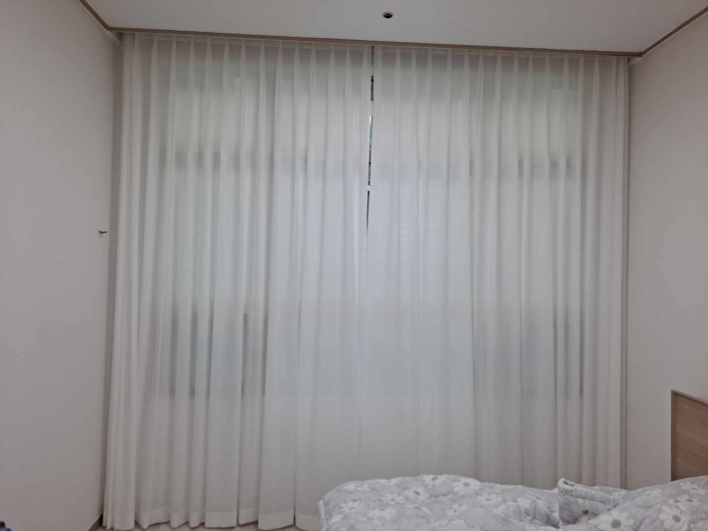 보리커튼 대표 이미지