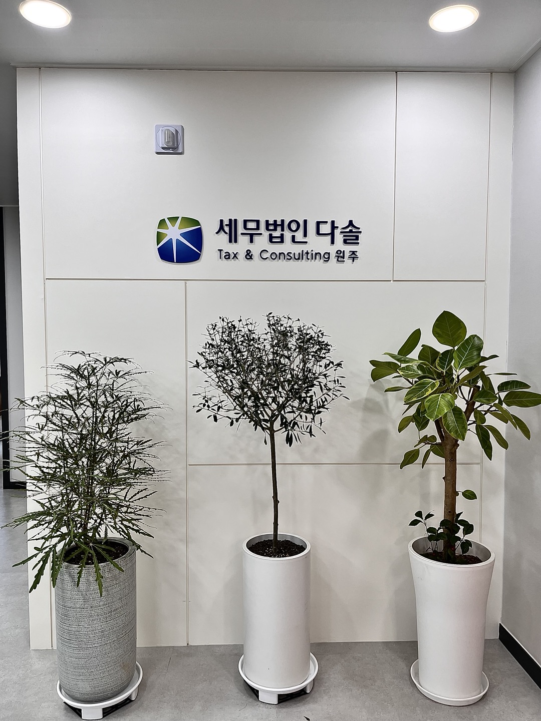 세무법인다솔티앤씨 원주