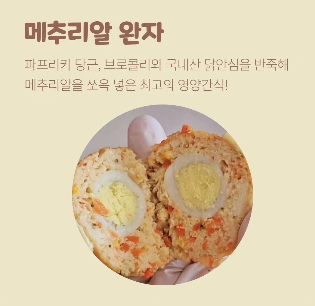 왈왈애견카페 5