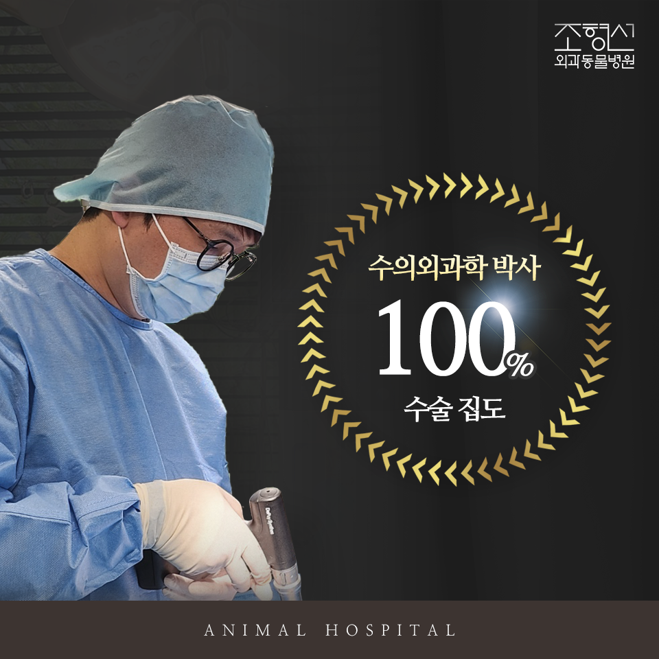 조형선외과동물병원 대표 이미지