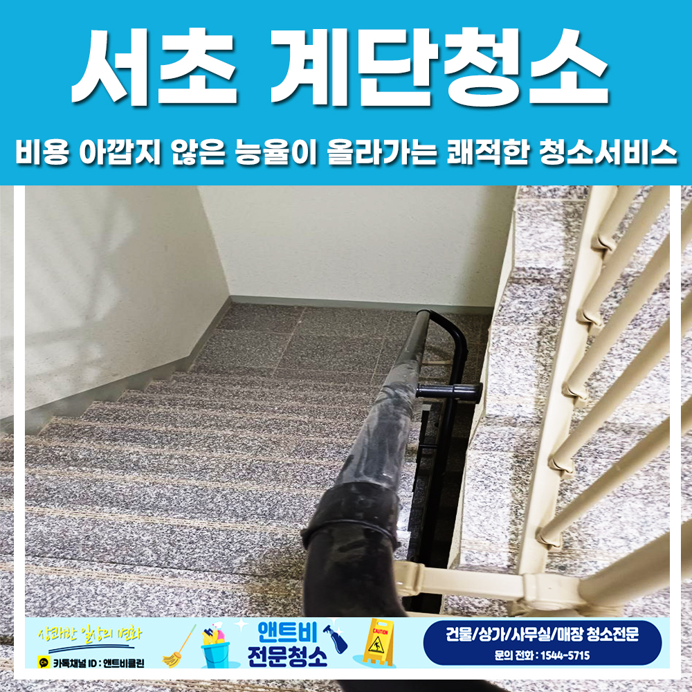 앤트비