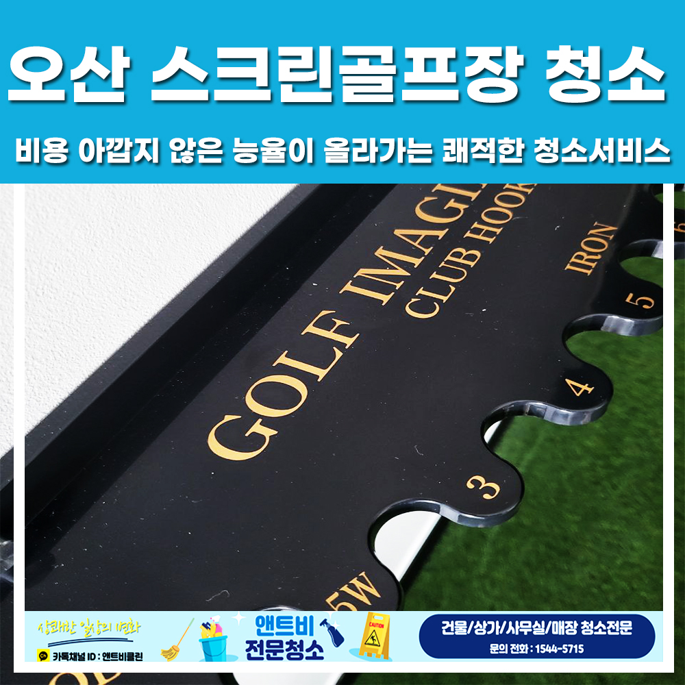 앤트비