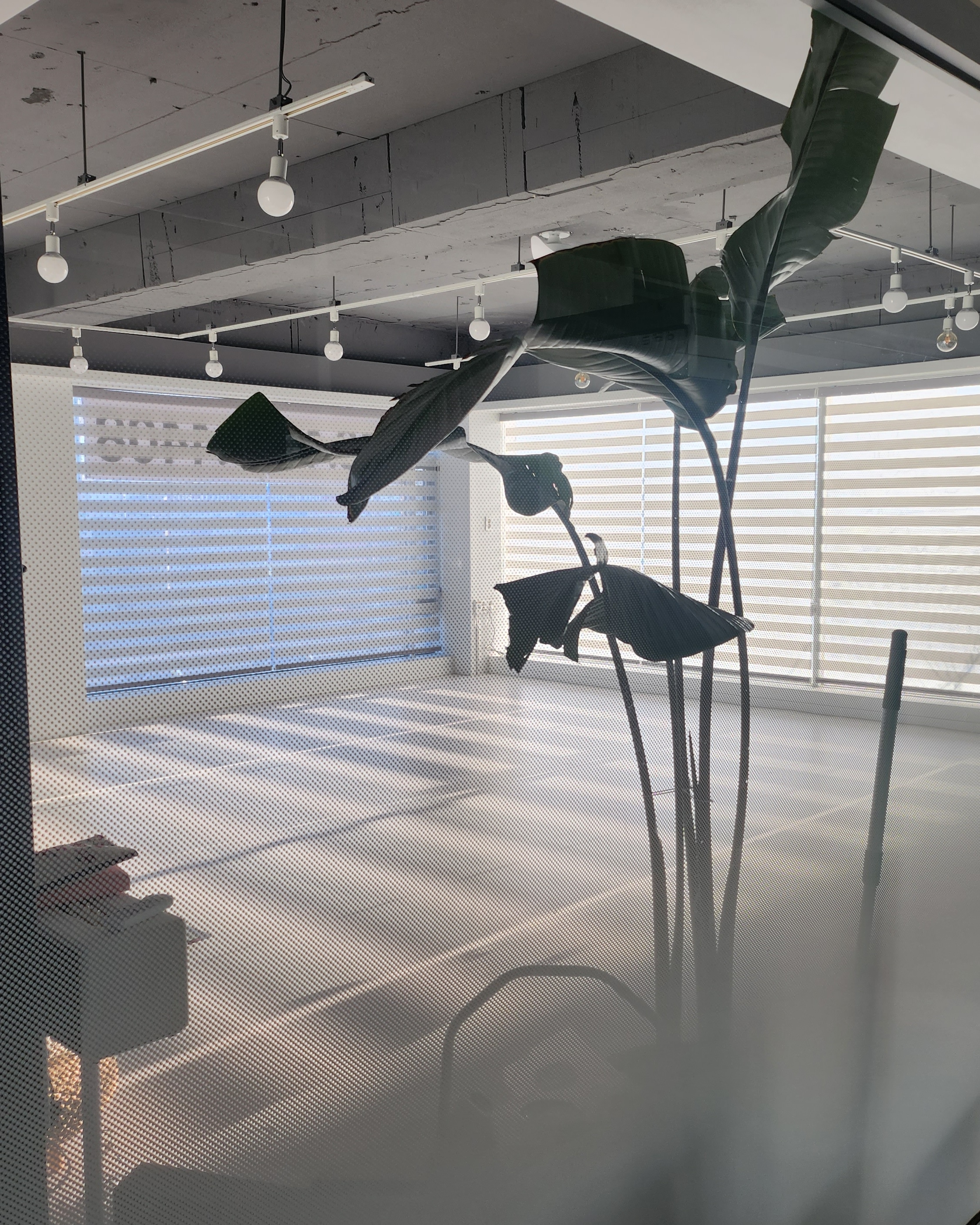 요가하루 옴 대표 이미지