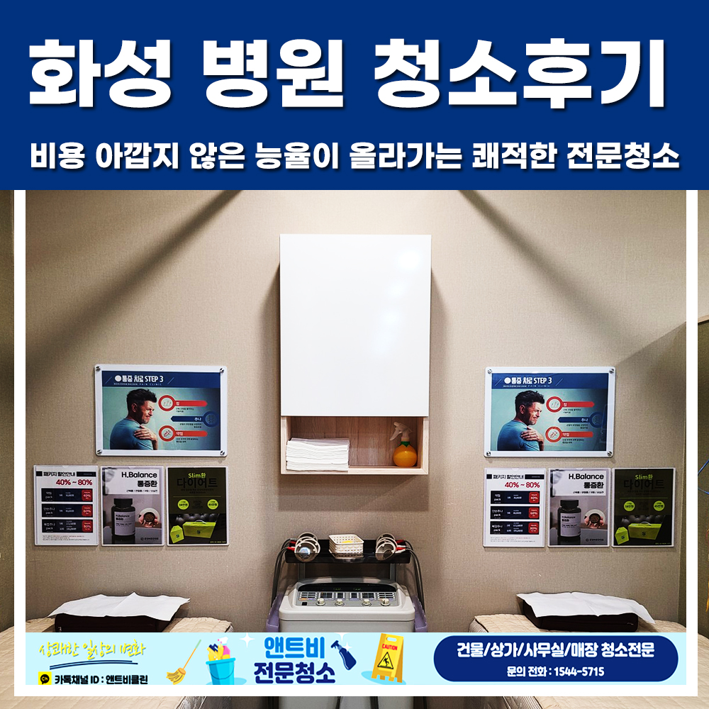 앤트비