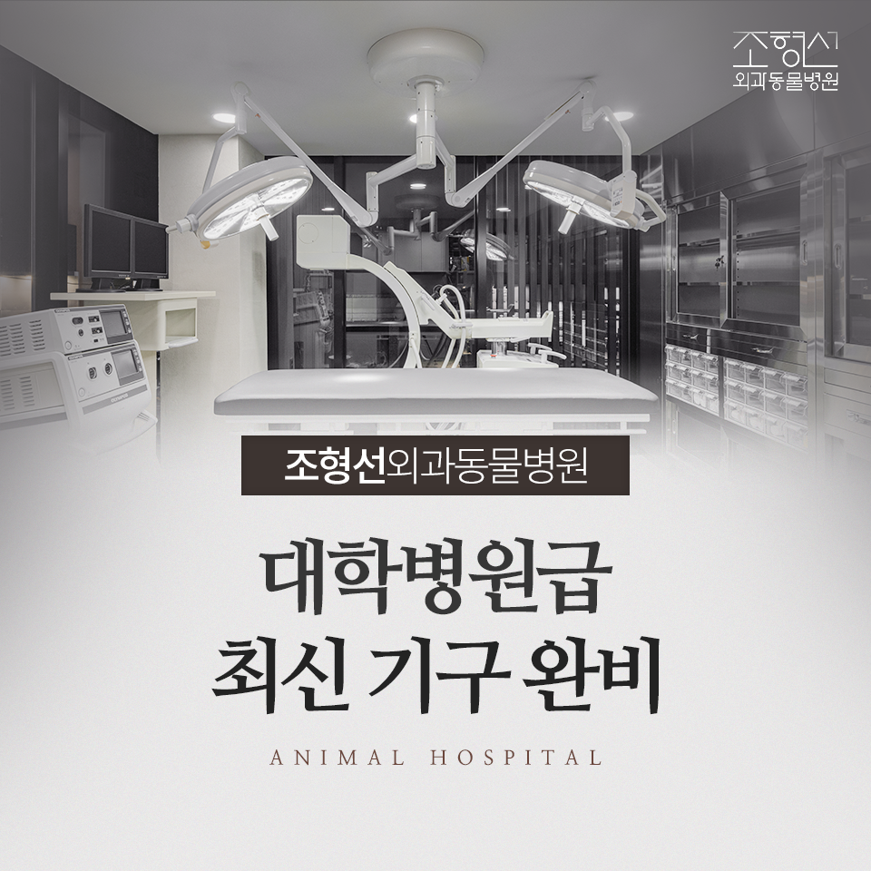 조형선외과동물병원 대표 이미지