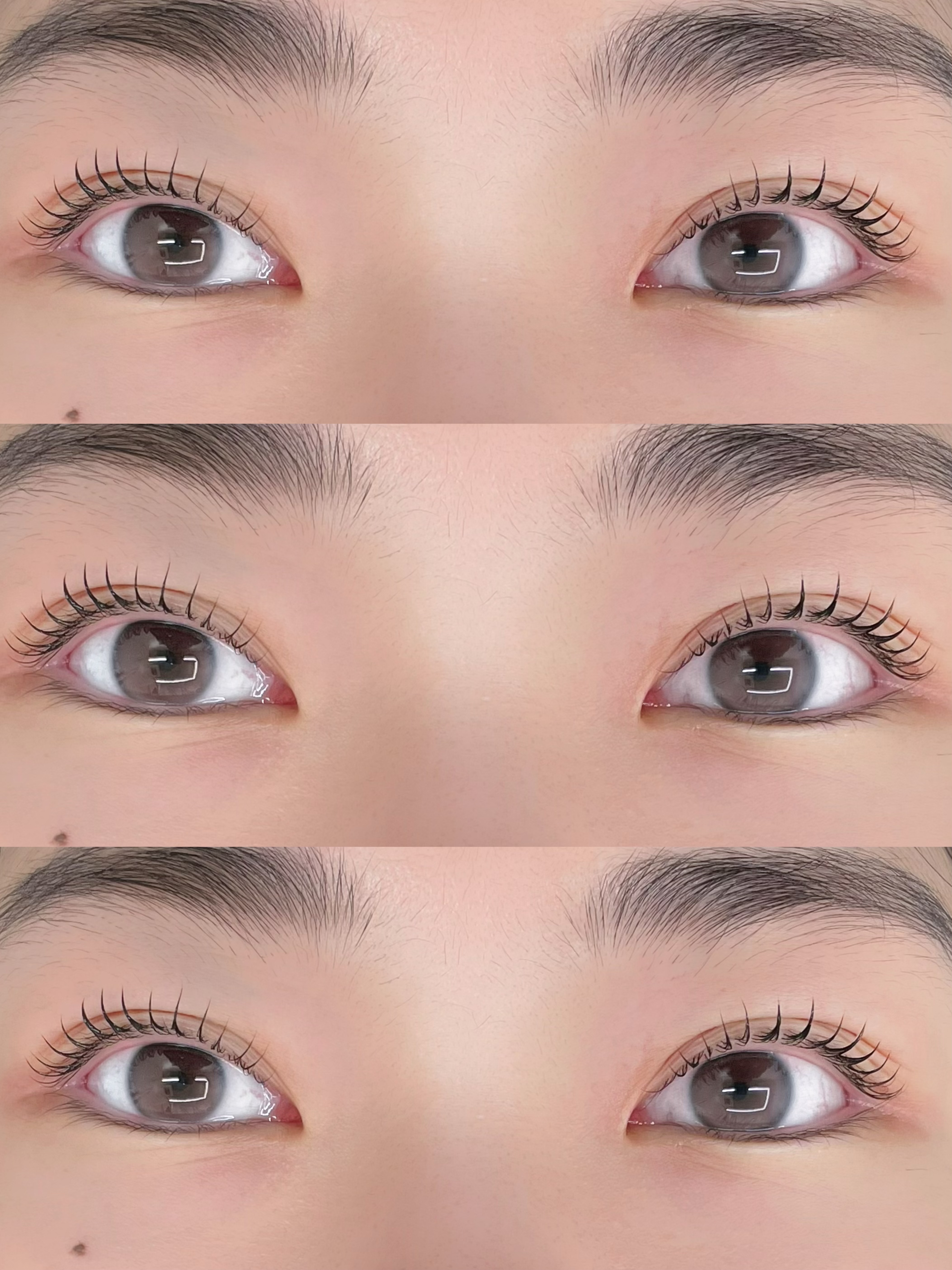 샵윤