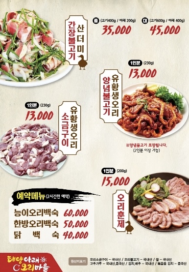 태양아래 오리마을
