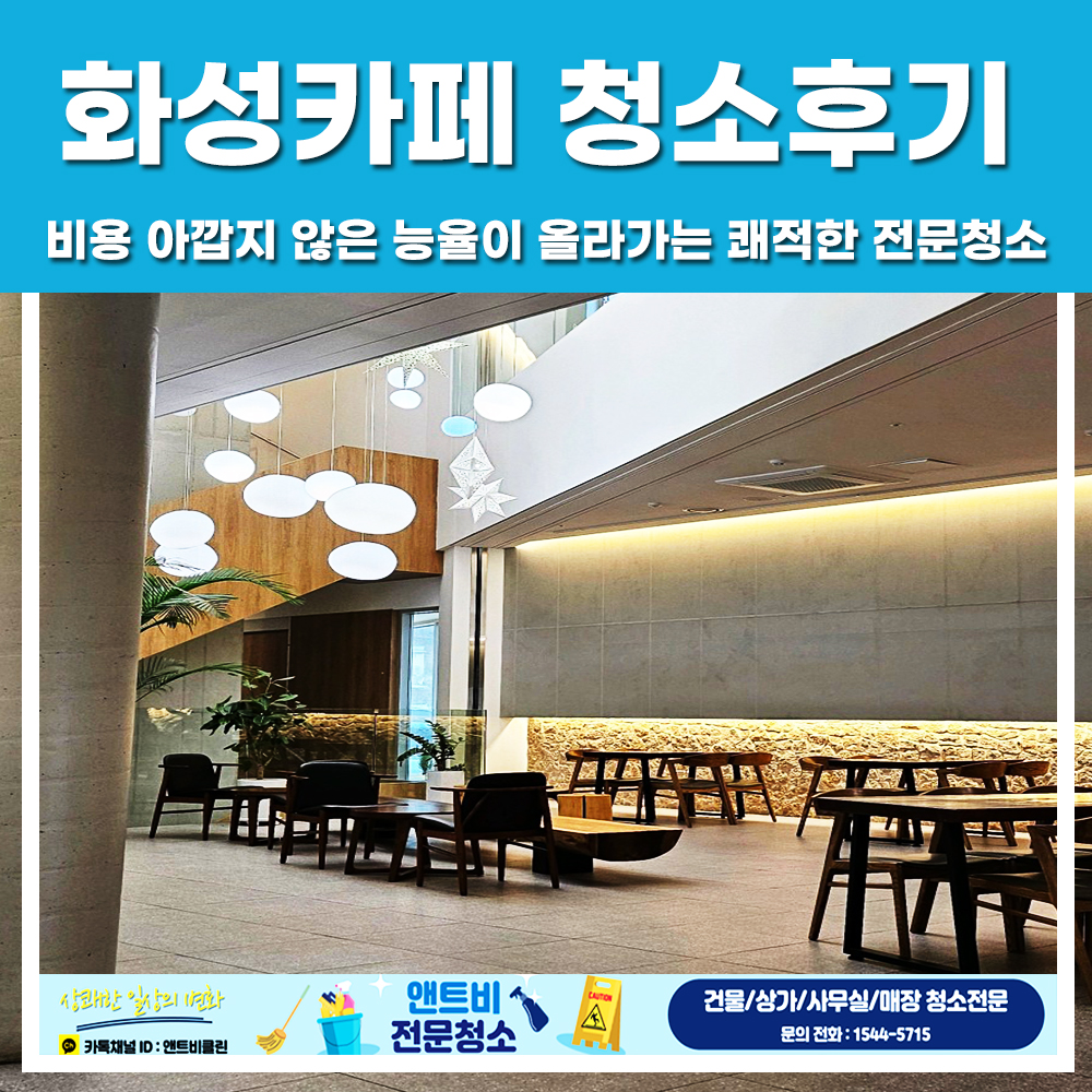 앤트비