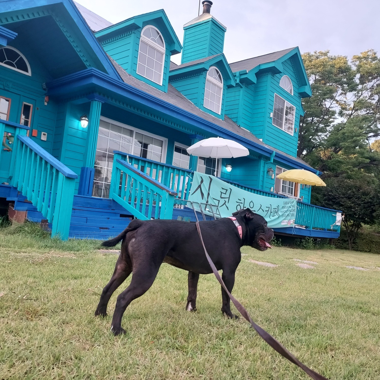 나의코코 대표 이미지